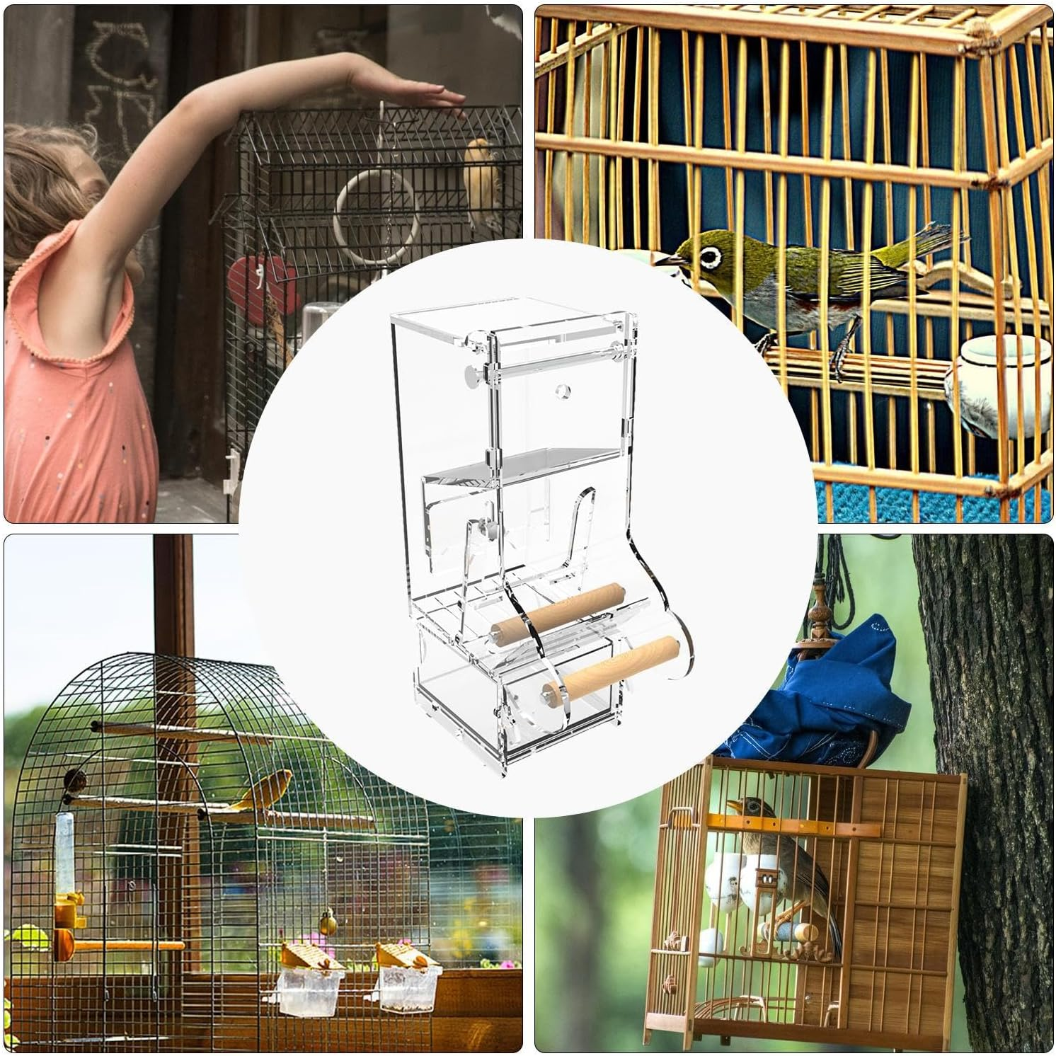 Shurzzesj Automatic Parrot Feeder, Clear Automatic Acrylic Bird Food Container with Perch, Cage Food Dispenser for Cockatiel, Squirrel, Finch, Lovebirds, Budgies, Canary, Parakeets image number 3