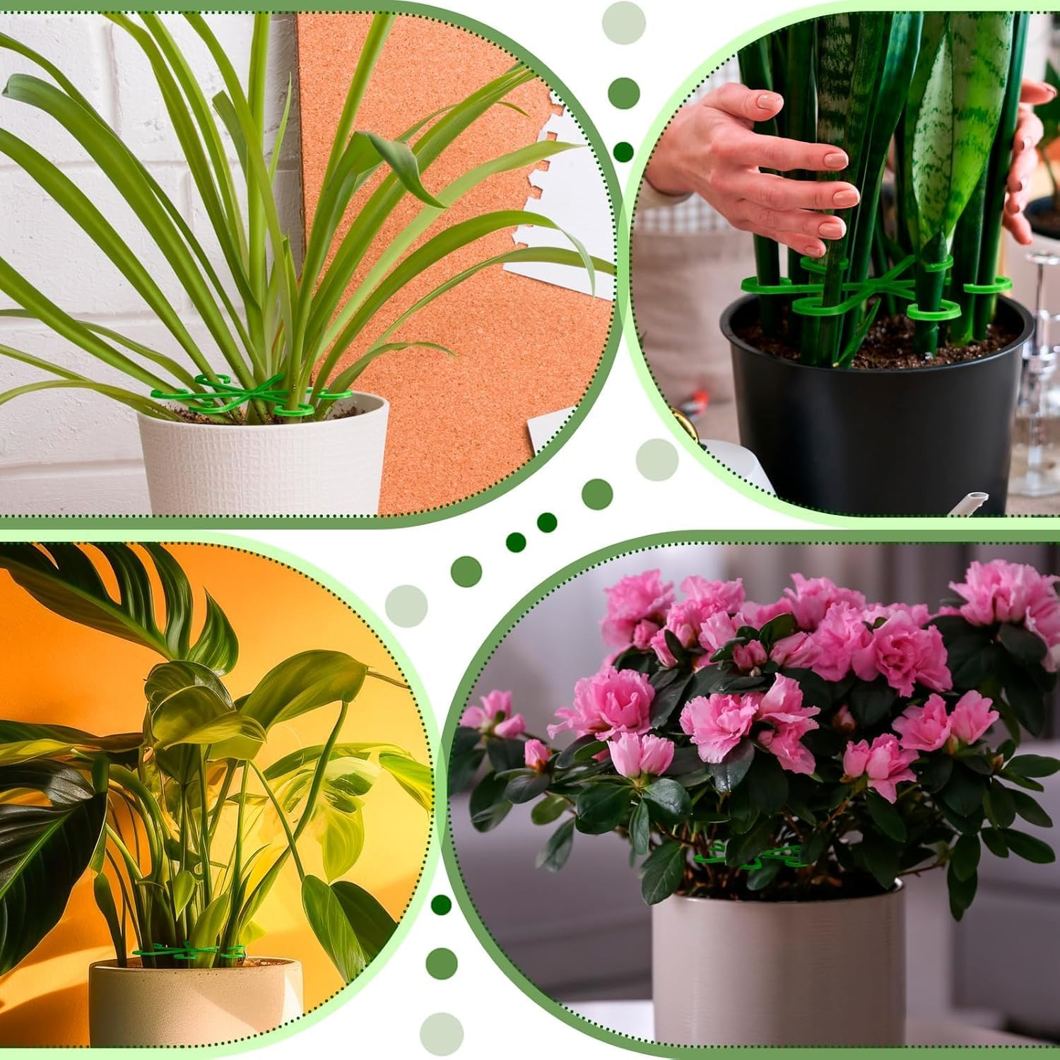 Plant Support Stakes, 16 Piece 4 Sizes Green Plastic Climbing Stem Holders Indoor Plant Trellis Support for Flowers, Flower Plant Stem Hook Stakes Trellis Climbing Indoor Plant Stem Supports Rack image number 2