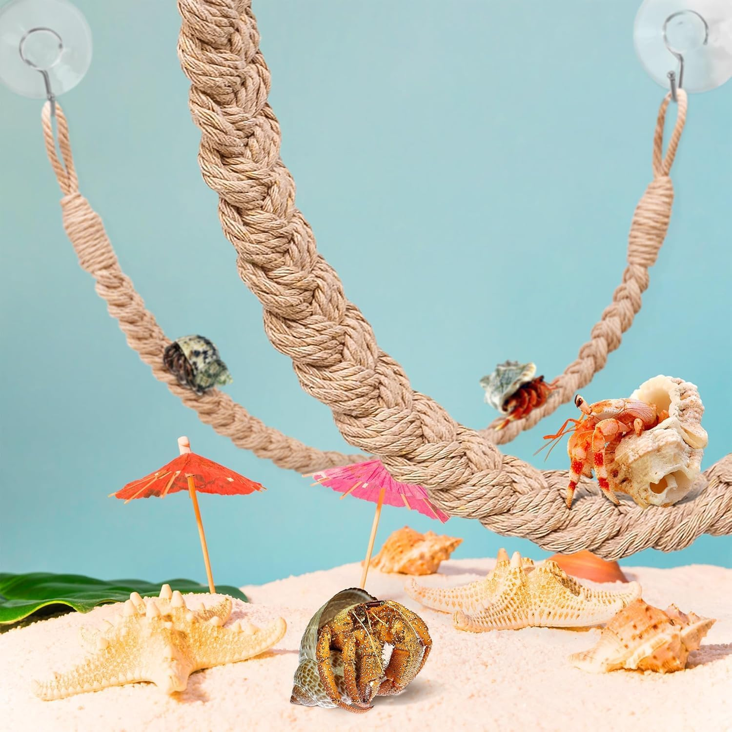 1PCS Hermit Crab Climbing Toy &ndash; Natural Jute Rope Ladder with Hooks, Reptile Terrarium Accessory for Hermit Crabs, Geckos, Lizards & Snakes, Tank Habitat Decor image number 2