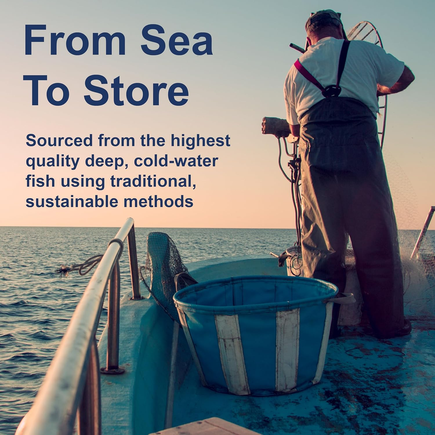 Carlson Labs - Elite EPA Gems 1000 Mg. - 120 Softgels Formerly Norwegian EPA Gems Omega-3 Concentrate Fish Oil Concentrate image number 5