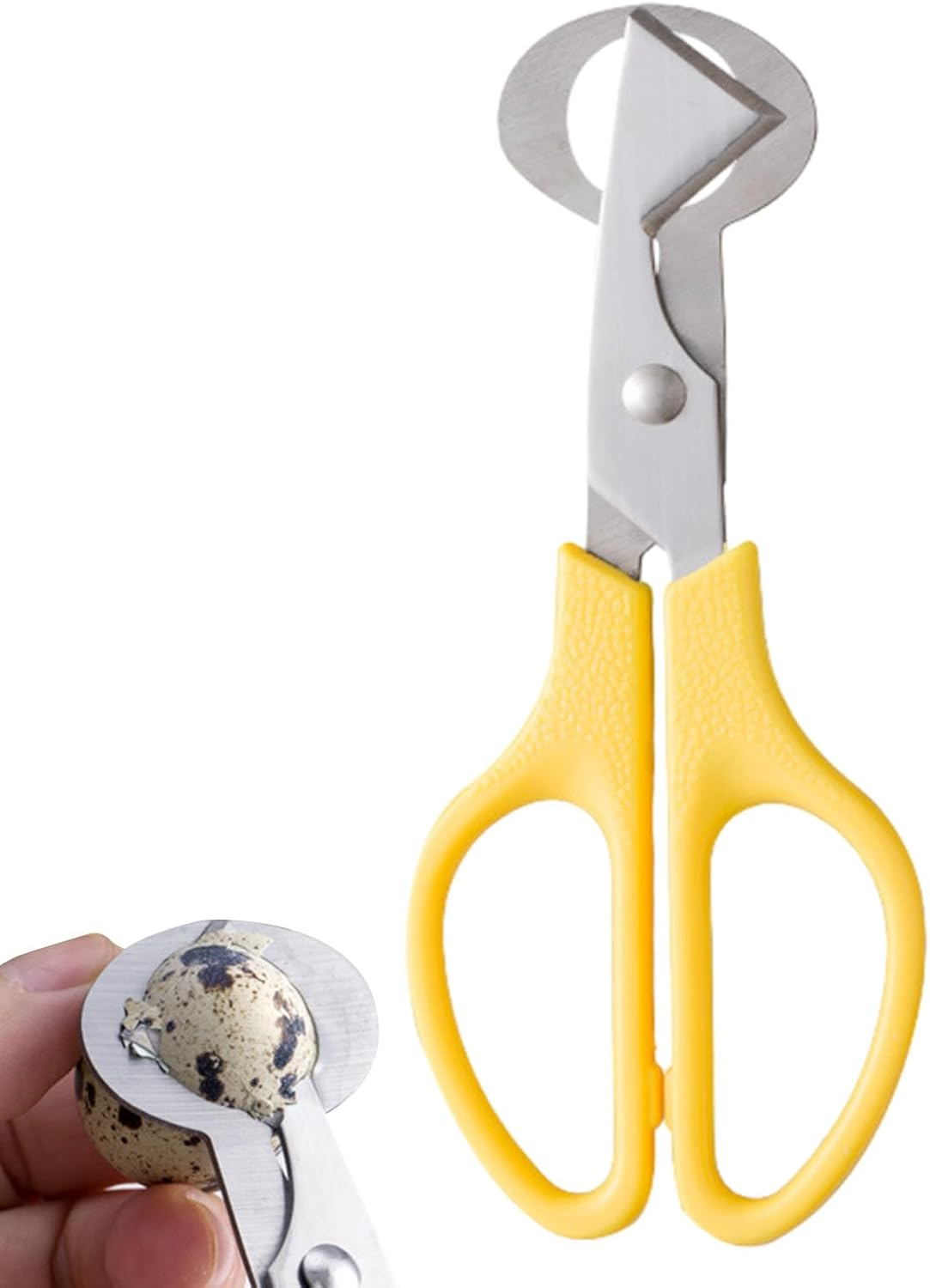 Quail Egg Shell Cutter, Quail Egg Scissors, Eggs Shells Opener, Eggs Shells Cutting Scissors, Yellow - Blue image number 2