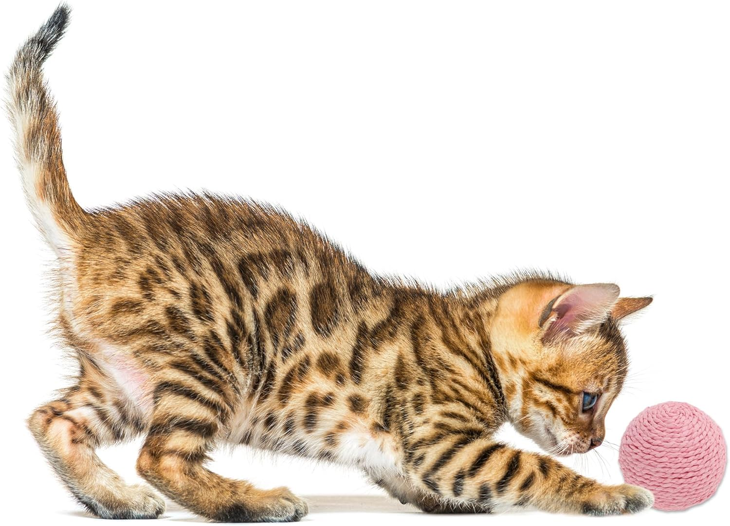 CAPASTEC Cat Playing Ball with Bell Indoors, Interactive Cat Balls for Playing and Fetch, Safety Dental Care Cat Chew Balls, Diameter 10 Cm, Pink image number 6