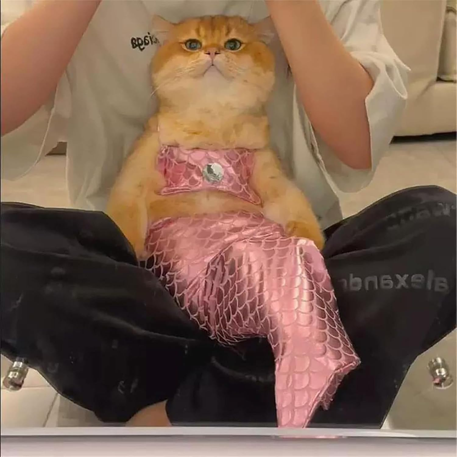 Cat Mermaid Costume - Mermaid Costume for a Small Dog or Cat, Mermaid Cat Costume, Cat Mermaid Outfit, Cat Mermaid Tail, Mermaid Costume for Cat, Funny Mermaid Cat Clothing (S,Green) image number 1