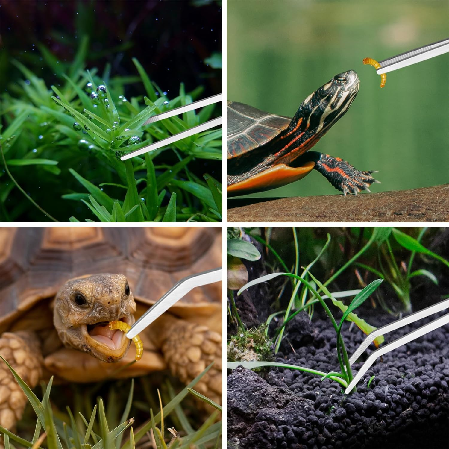 Ohtomber Aquascape Tools Aquarium Kit - 4PCS Terrarium Supplies Include Long Tweezers for Terrarium, Feeding Tongs, Aquarium Scissors, Algae Scraper for Fish Tank Cleaning Plant Trimming image number 1