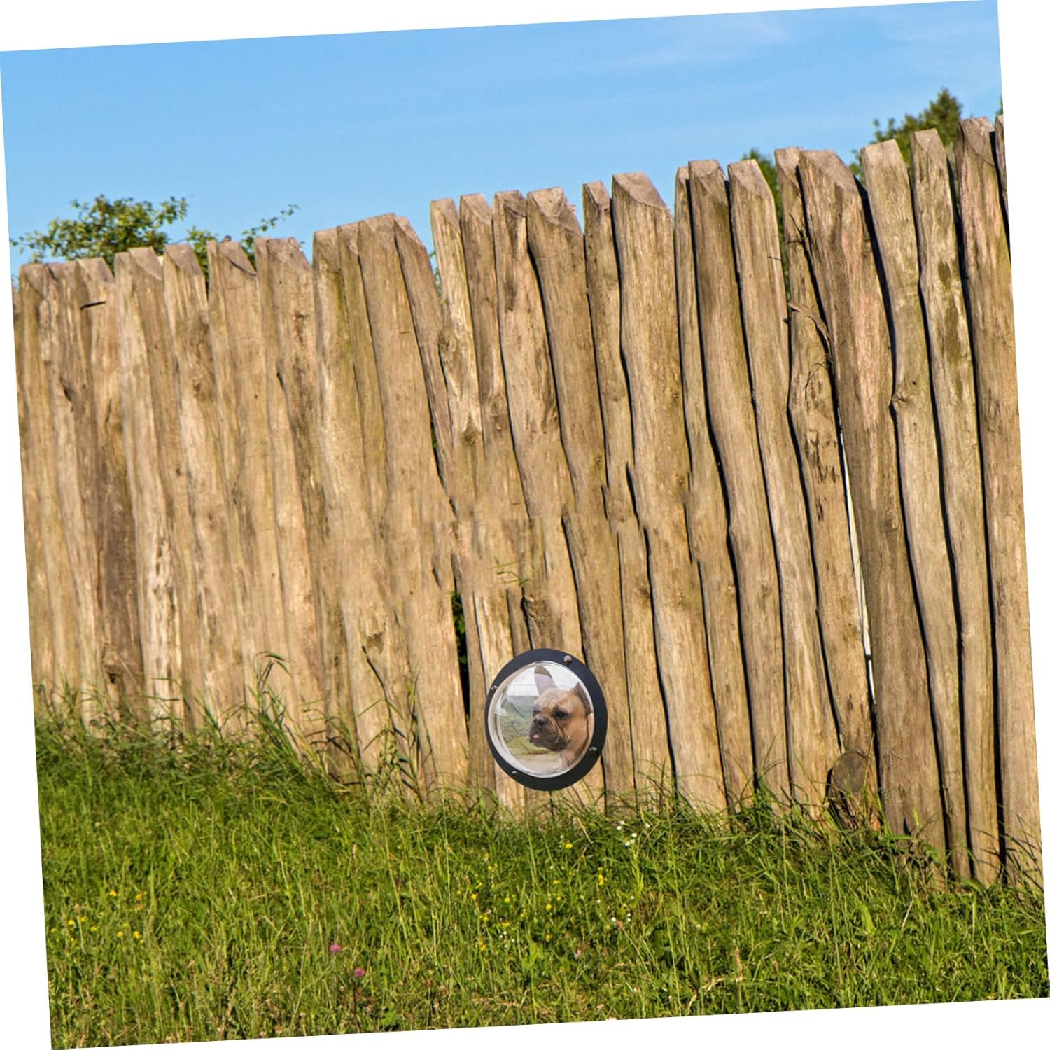 BUGUUYO Dog Fence Bubble Window Pet Fence View Outdoor Dog Kennel Observation Window Dome for Cat House image number 6