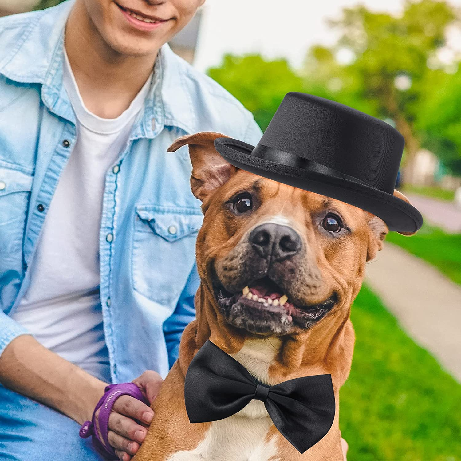 Yewong 2 Pieces Pet Formal Accessories Set - Top Hat with Necktie/Bowtie for Dog Cat Birthday Party Graduation Halloween Costumes (Black-A) One Size image number 4