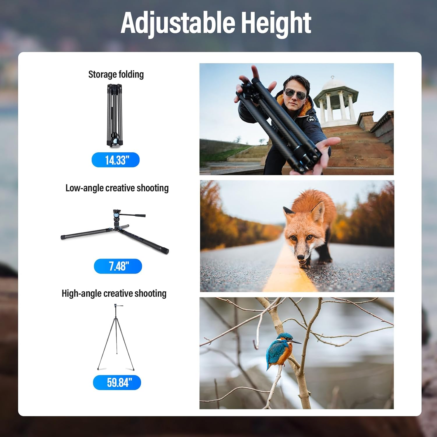 SIRUI Traveler X Lightweight Carbon Fiber Tripod with Panoramic Video Head, 59.8&rdquo; Compact Camera Tripod with Quick Leg Setup, Max Load 11Lbs (Fluid Head/At-10) image number 1