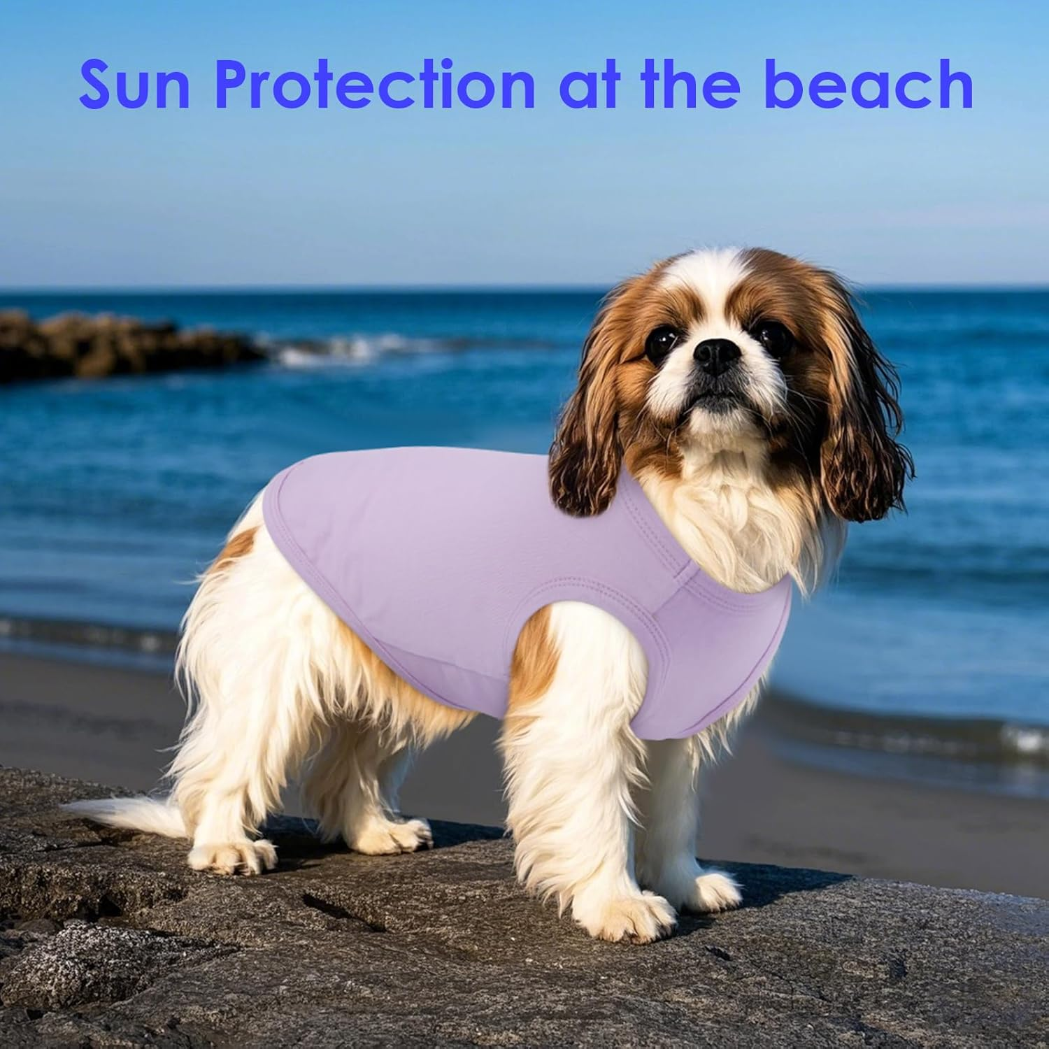 Dog Shirt 3-Pack - Summer Cooling Shirts for Small to Medium Dogs | UV Protection, Breathable & Soft Tees for Sun Safety Purple image number 5