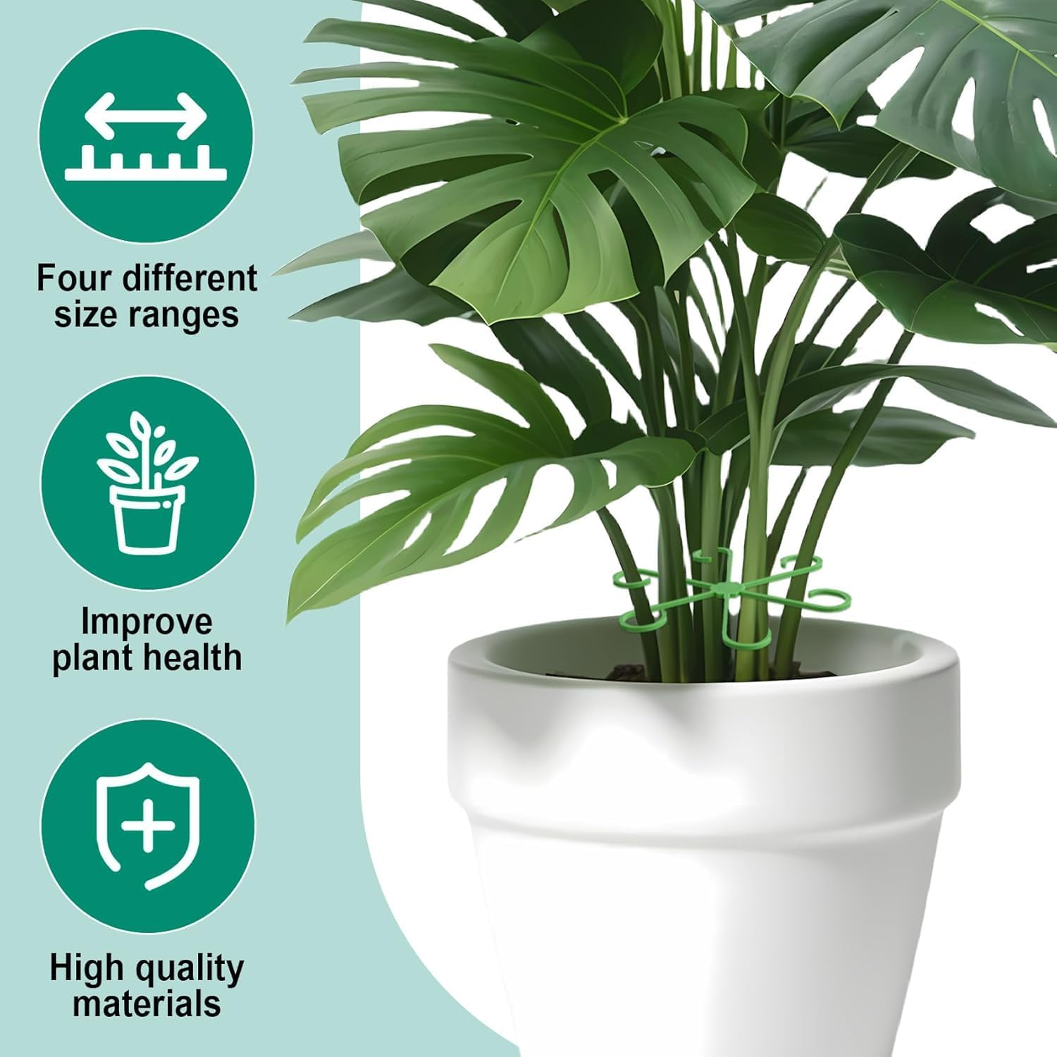 WADY Plant Stem Holder, Pack of 4 Plant Support, Climbing Indoor Plant Trunk Support, Vine Support Clips for for Plants, so You Grow Upright and Become Healthier (Green) image number 1