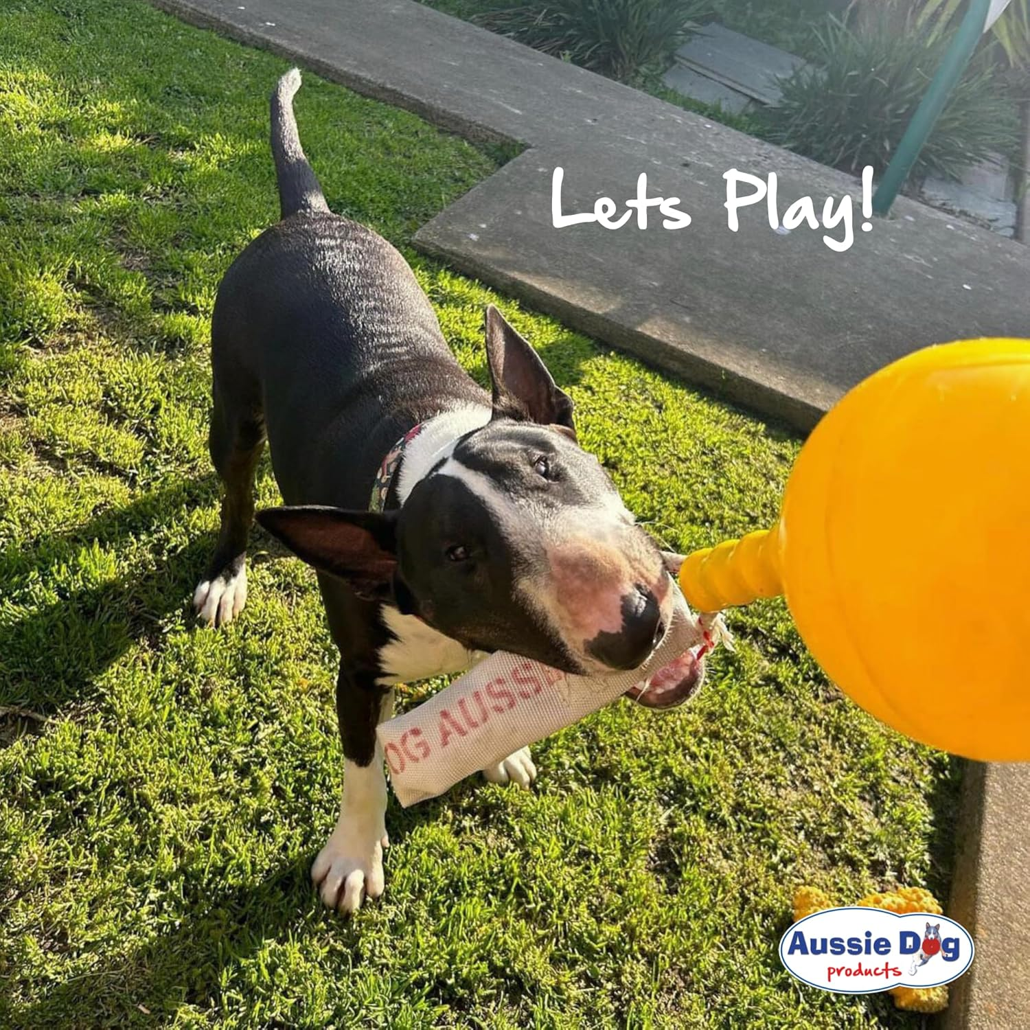 Aussie Dog Home Alone Toy for Medium Dogs (10-30Kg) Interactive Tug & Treat Ball | Mental Stimulation Chew Toy | Food Dispenser for Boredom Relief | Outdoor Durable Hanging Dog Toy image number 6