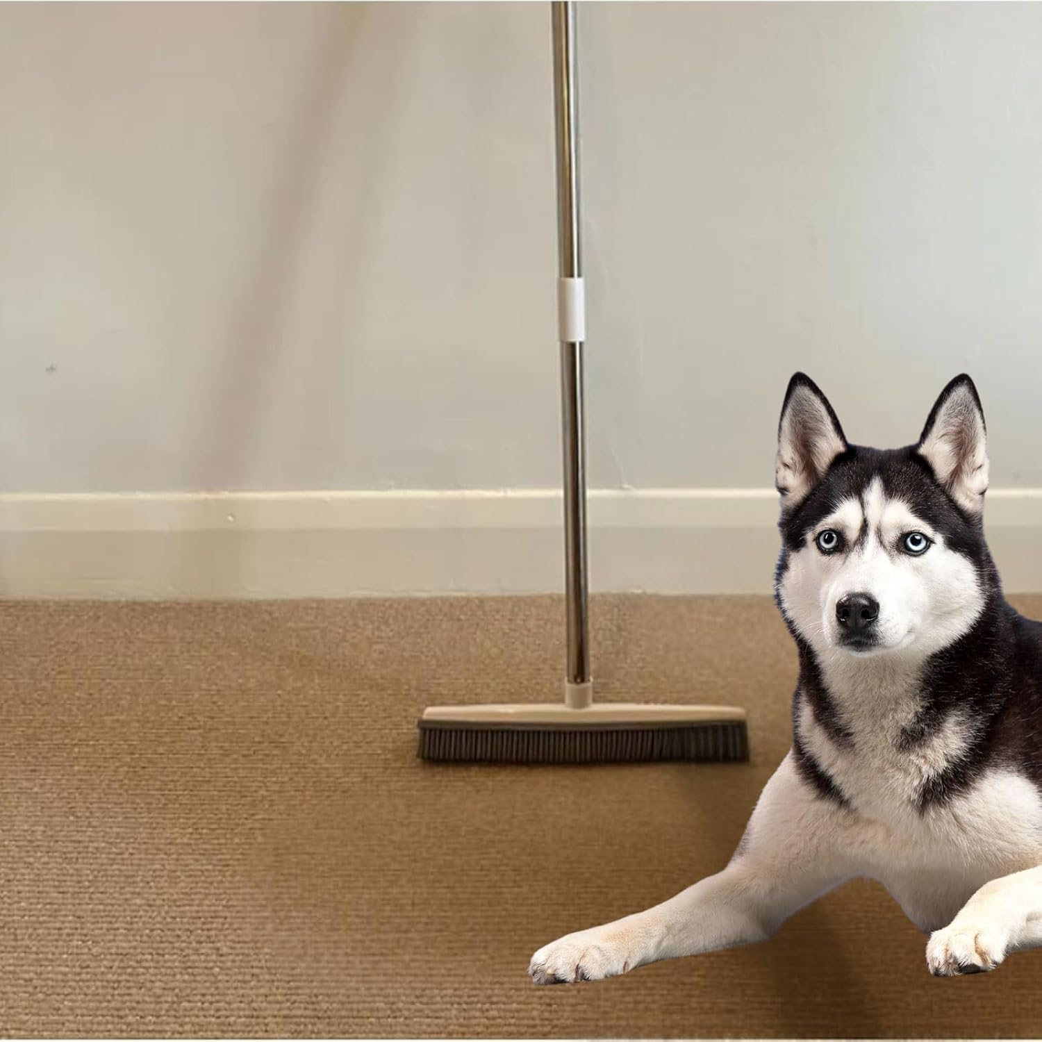 Petibo Pet Broom,Petibo Pet Hair Remover Broom,Petibopet Hair Removal Broom,Petibo Pet Fur Removal Broom,Pet Hair Removal Broom,Silicone Broom Pet Hair,Carpet Broom for Pet Hair (Black) - Blue image number 4