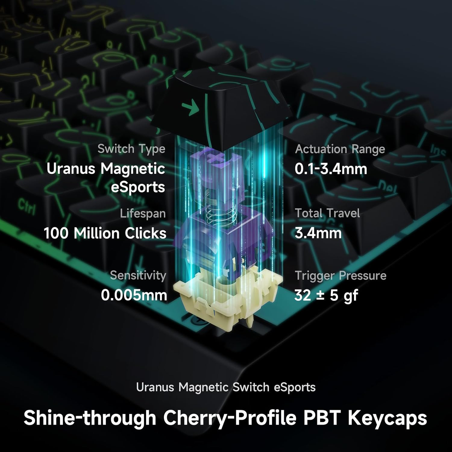 MCHOSE ACE 68 60% Mechanical Gaming Keyboard Wired Rapid Trigger Hall Effect Keyboard Magnetic Switch Adjustable Actuation 8000Hz Polling Rate Custom RGB MAC Laptop(Black Topographic TTC Dragon Lord) image number 4