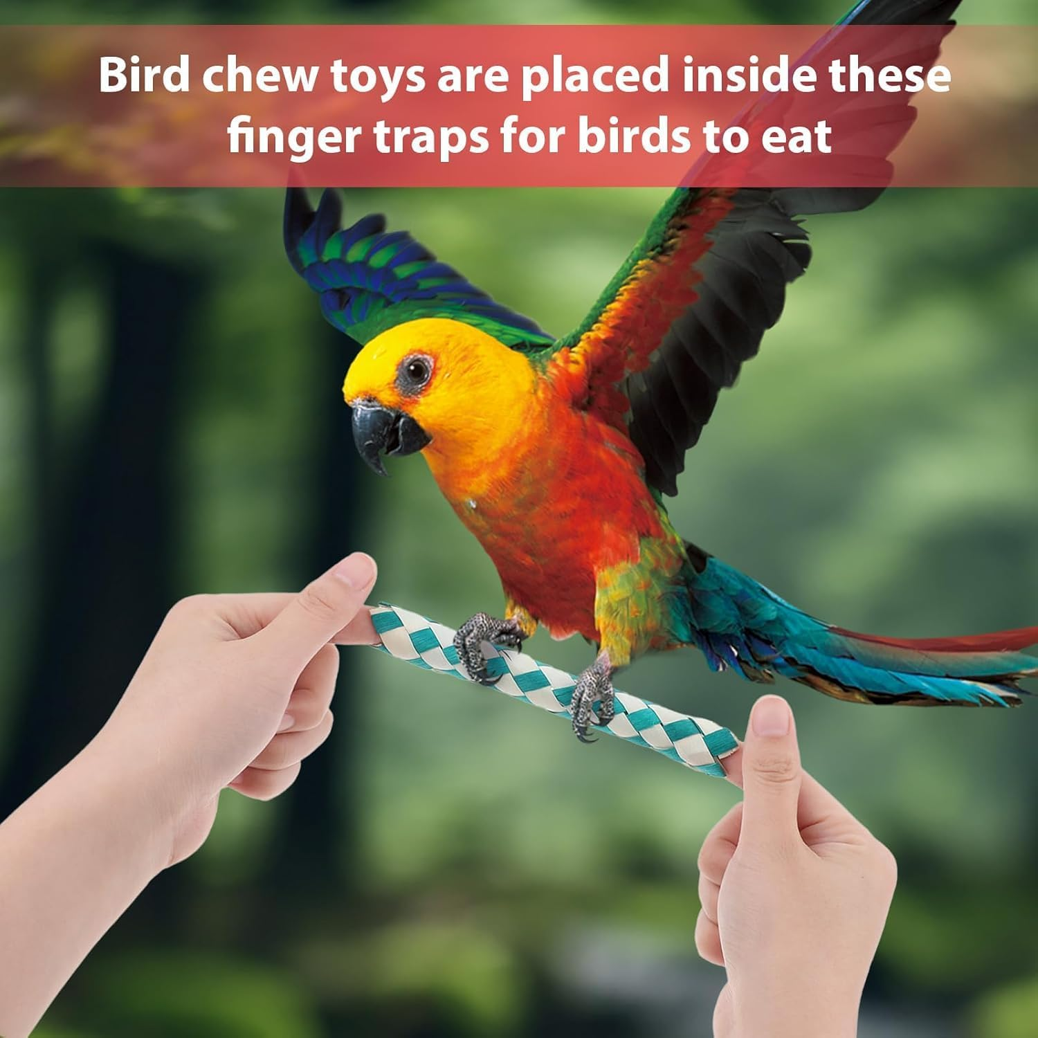 Birds Parrots Chew Toy Trap, 6Pcs Colorful Classic Finger Traps, Chinese Finger Trap Bamboo Finger Traps, Birds Foraging Chinese Classic Finger Trap