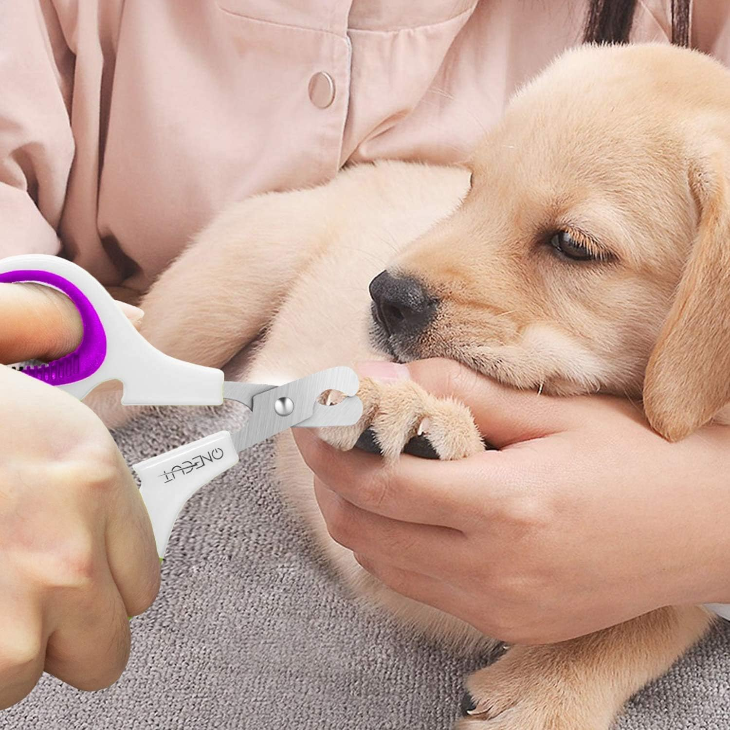 Onecut Cat Nail Scissors - Nail Scissors for Dogs, Professional Pets Nail Clippers with Non-Slip Handles Are Perfect for Rabbits, Dogs and Cats image number 4