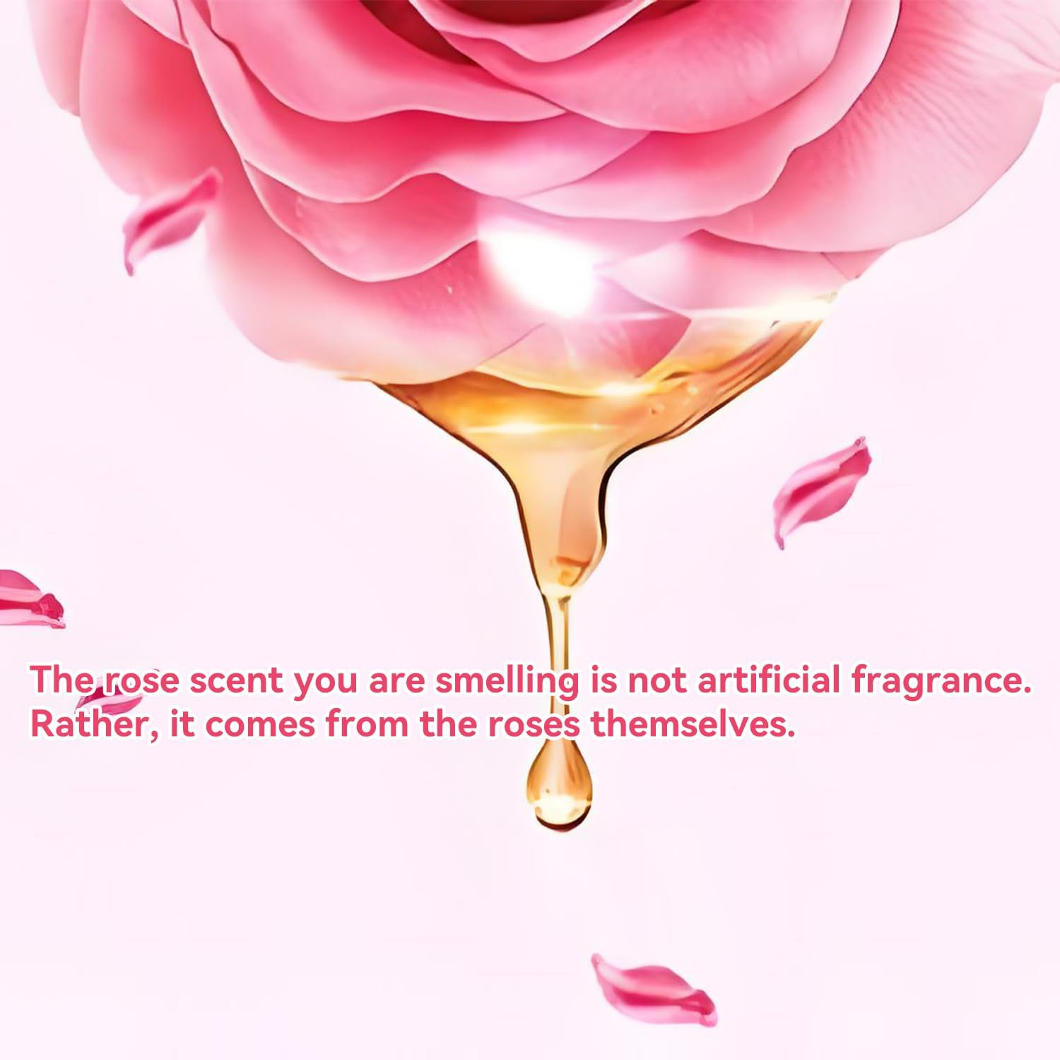 MISSEDSEN Body Lotion for Women, Rose and Shea Butter, Daily Moisturising, 300Ml and 100Ml Travel Size