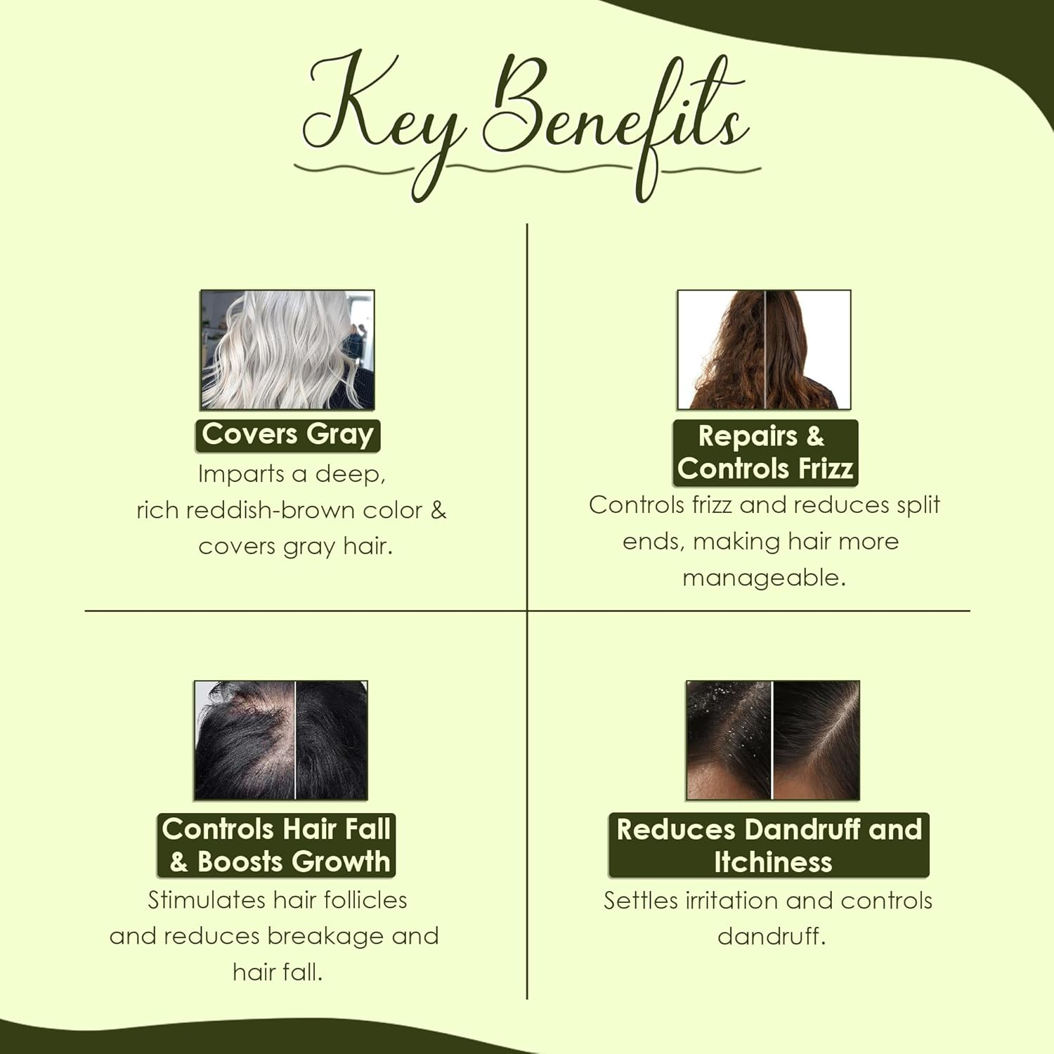 Mi Nature Pure Henna Mehndi Powder 1Kg (16Oz) |Naturally Plant Based Sourced Henna for Hair Coloring & Care |Herbal Hair Care | No Added Preservative image number 3