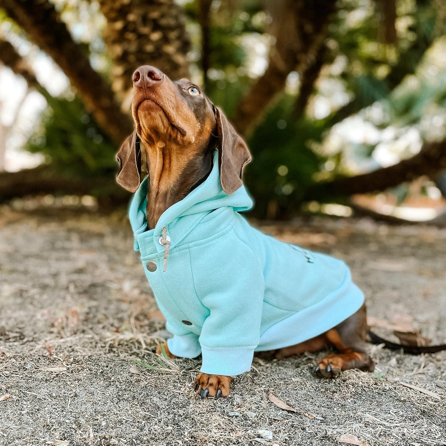 Huskimo Hartz Peak Dog Hoodie, Lagoon, 27Cm image number 2