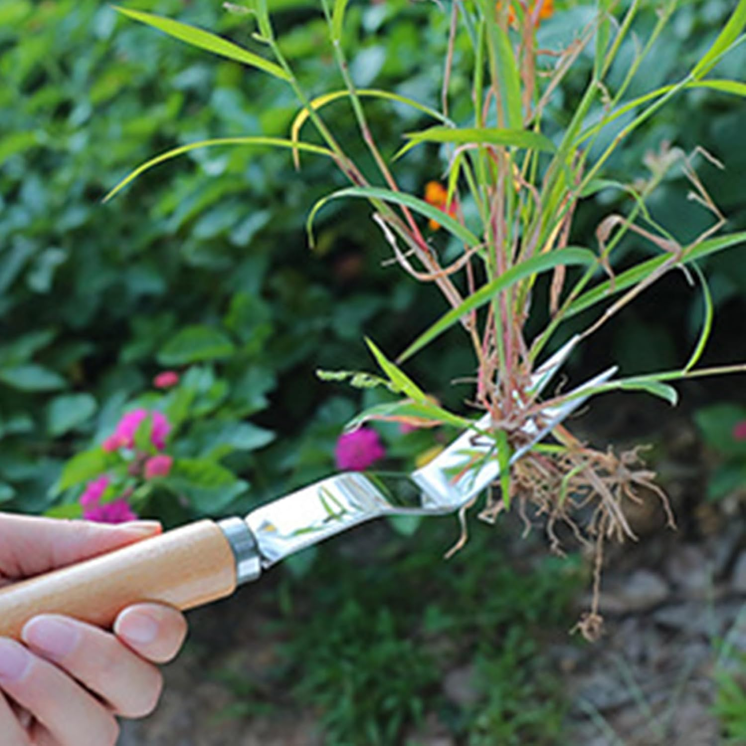 Ocastuted Grass Puller Tool,Gardening Hand Tools | Stainless Steel Gardening Supplies Manual Puller for Landscaping Flower Bed Driveway Vegetable