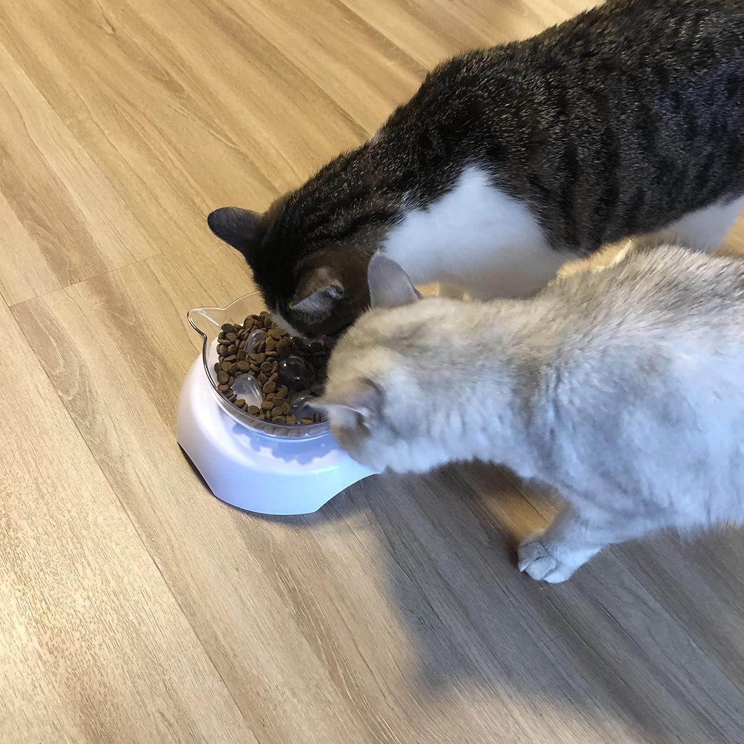 3 in 1 Pet Raised Slow Feeder, Cats Dogs Food Bowls with Stand, 15&deg; Tilted Pet Bowls for Cats and Small Size Dogs, Backflow Prevention, Easy to Clean/59 image number 6