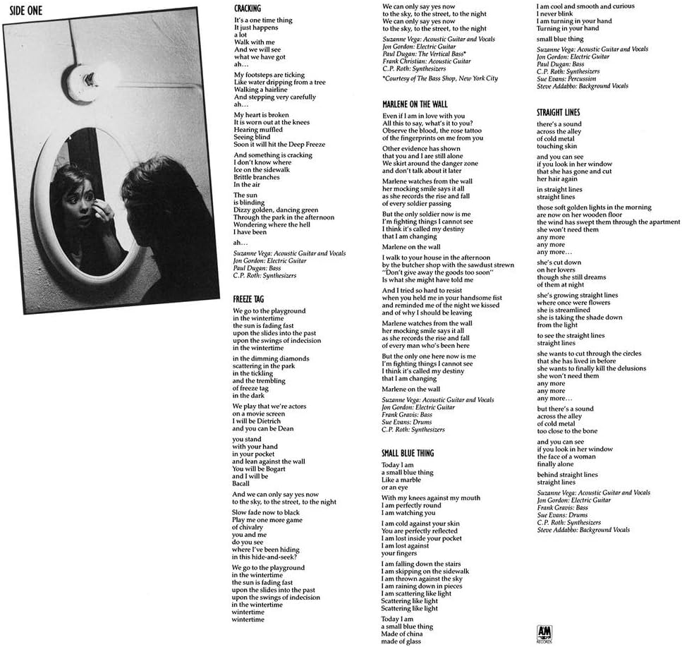 Suzanne Vega image number 2