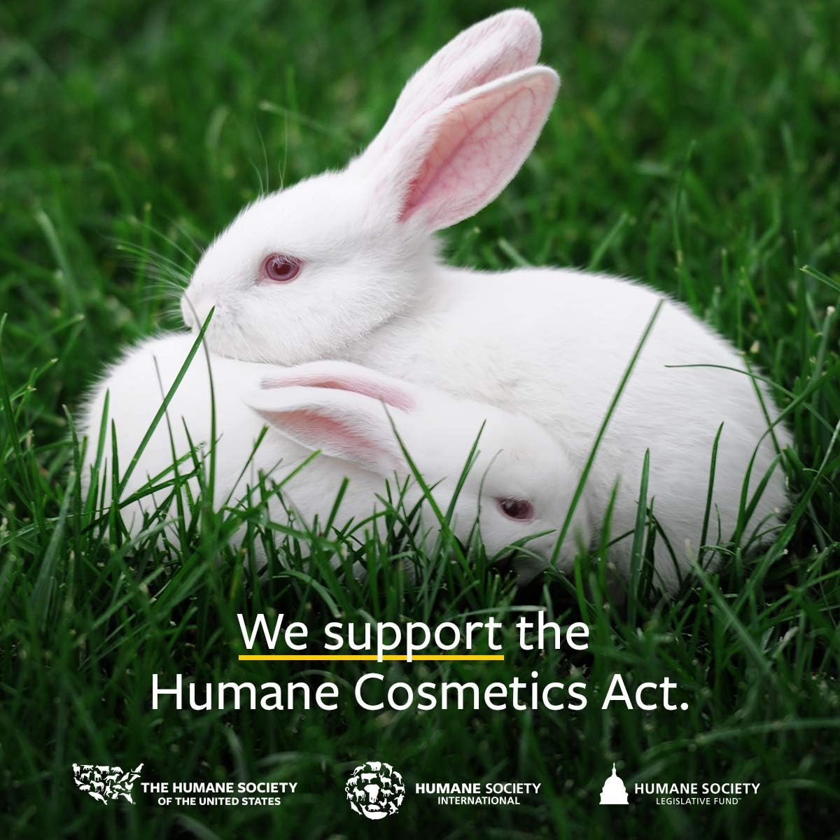 US Organic Sea Buckthorn Berry (Fruit) Oil, USDA Certified Organic,Pure & Natural, Supercritical CO2 Extracted, Virgin, Unrefined in Amber Glass Bottle (1 Oz (30 Ml)) image number 5