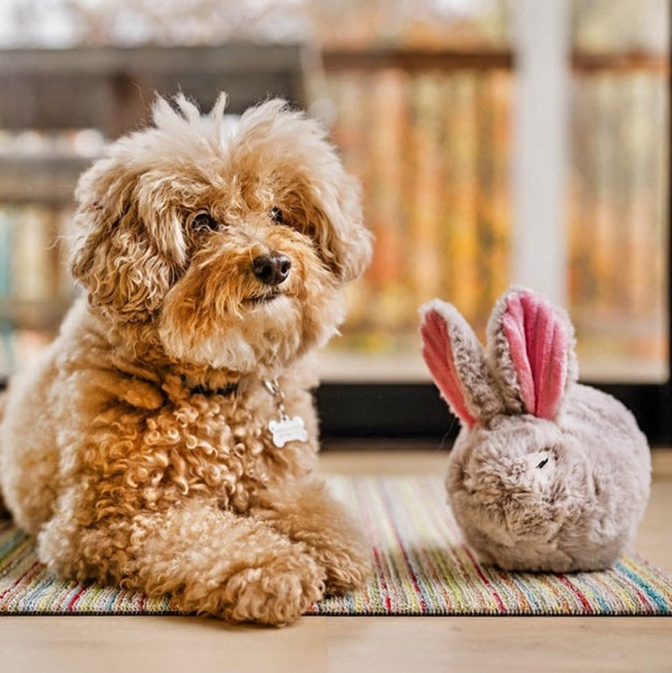 Play Dog Toy Forest Friends Bunny
