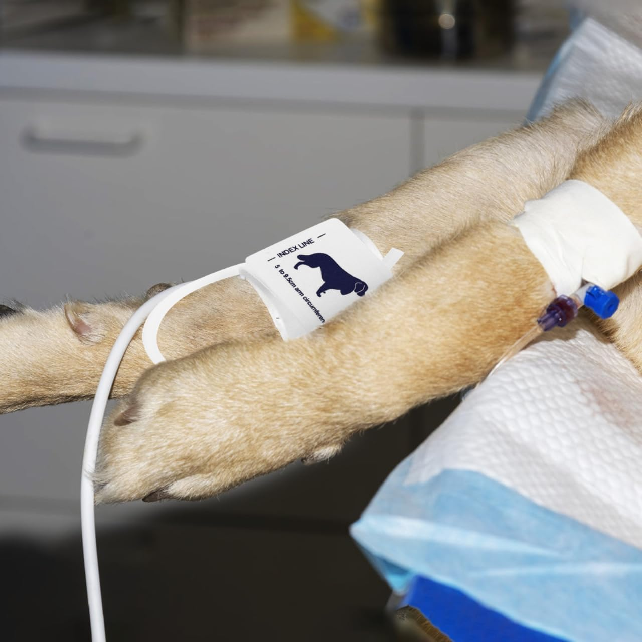 Partykindom Blood Pressure Cuff for Animals, Non-Woven Fabric, Soft, Comfortable, Safe for Monitoring the Blood Pressure of Cats, Dogs and Other Pets, Easy to Use, Practical for Veterinary Medicine image number 6