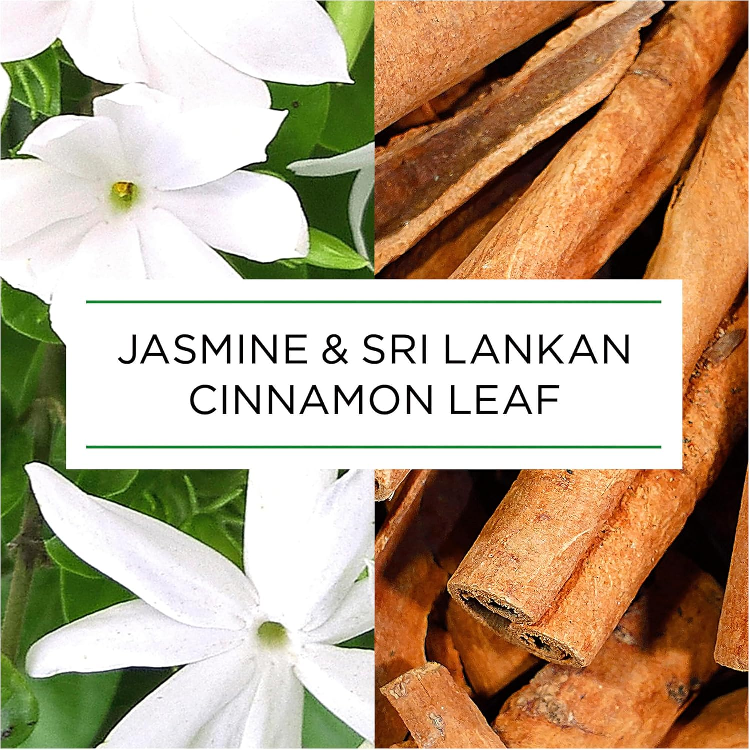 Botanica Automatic Spray Jasmine & Sri Lankan Cinnamon Leaf Starter Kit 228Ml image number 2