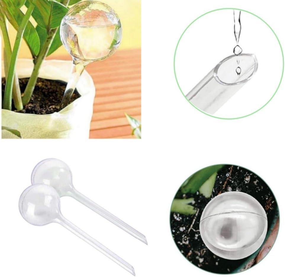 12 Pcs Plant Watering Bulbs, Self-Watering Globes, Garden Water Device Watering Bulbs, Automatic Watering Globes for Plant, Transparent Plant Waterer for Plant Indoor Outdoor image number 3