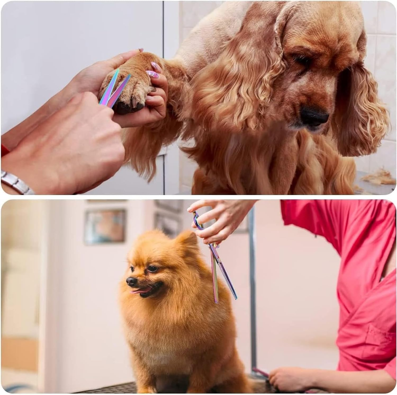 Visuivit Professional Dog Grooming Scissors Set 18Cm/7 Inch, 8 Piece Dog Grooming Shears - Dog Hair Trimming- 6CR Steel Pet Grooming Scissors Kit (Rainbow) - Black image number 7