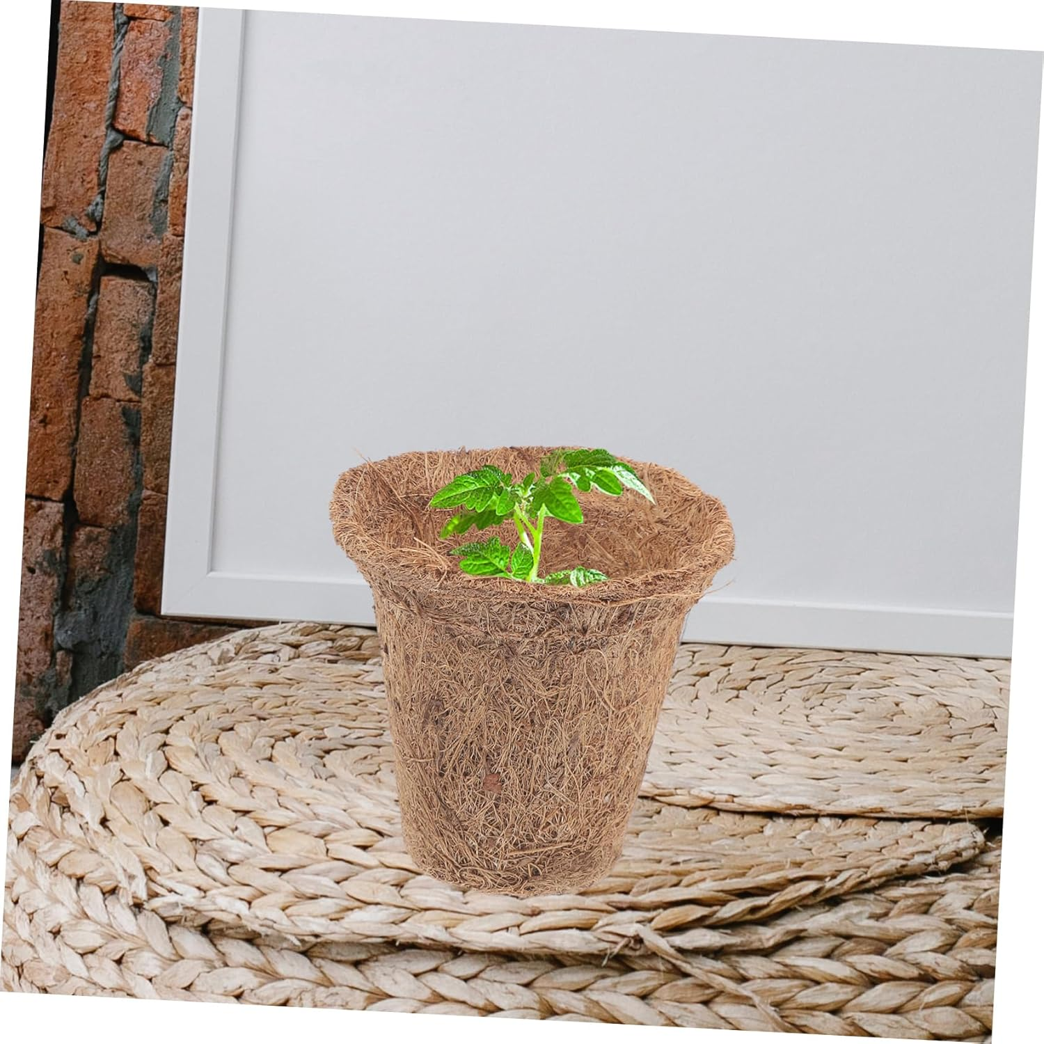 Sosoport Plant Starter Pots 35Pcs Nursery Pots for Direct Planting Germination Growing Pots Fiber for Home Gardening image number 2