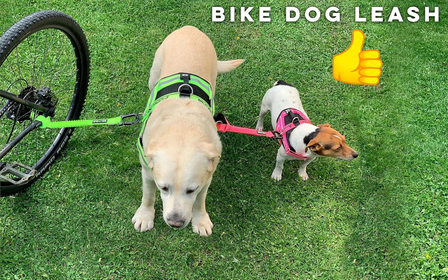 Dog Bike Leash, Hands Free Dog Leashes. Dog Bicycle Lead for Small, Medium and Large Dogs, Designed to Lead One or More Dogs with Maximum Safety, Easy Assembly without Tools. Patented Product. - Yellow image number 3