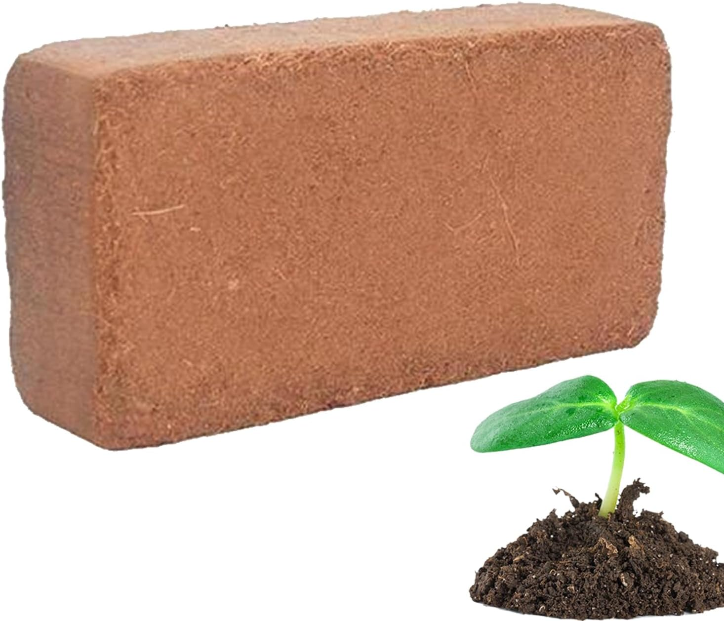 Vgvgaj Organic Coco Coir | Coco Coir Block - Ph-Balanced Moisture Supplies for Vegetables Houseplants Gardening Indoor Flowers Outdoor image number 2