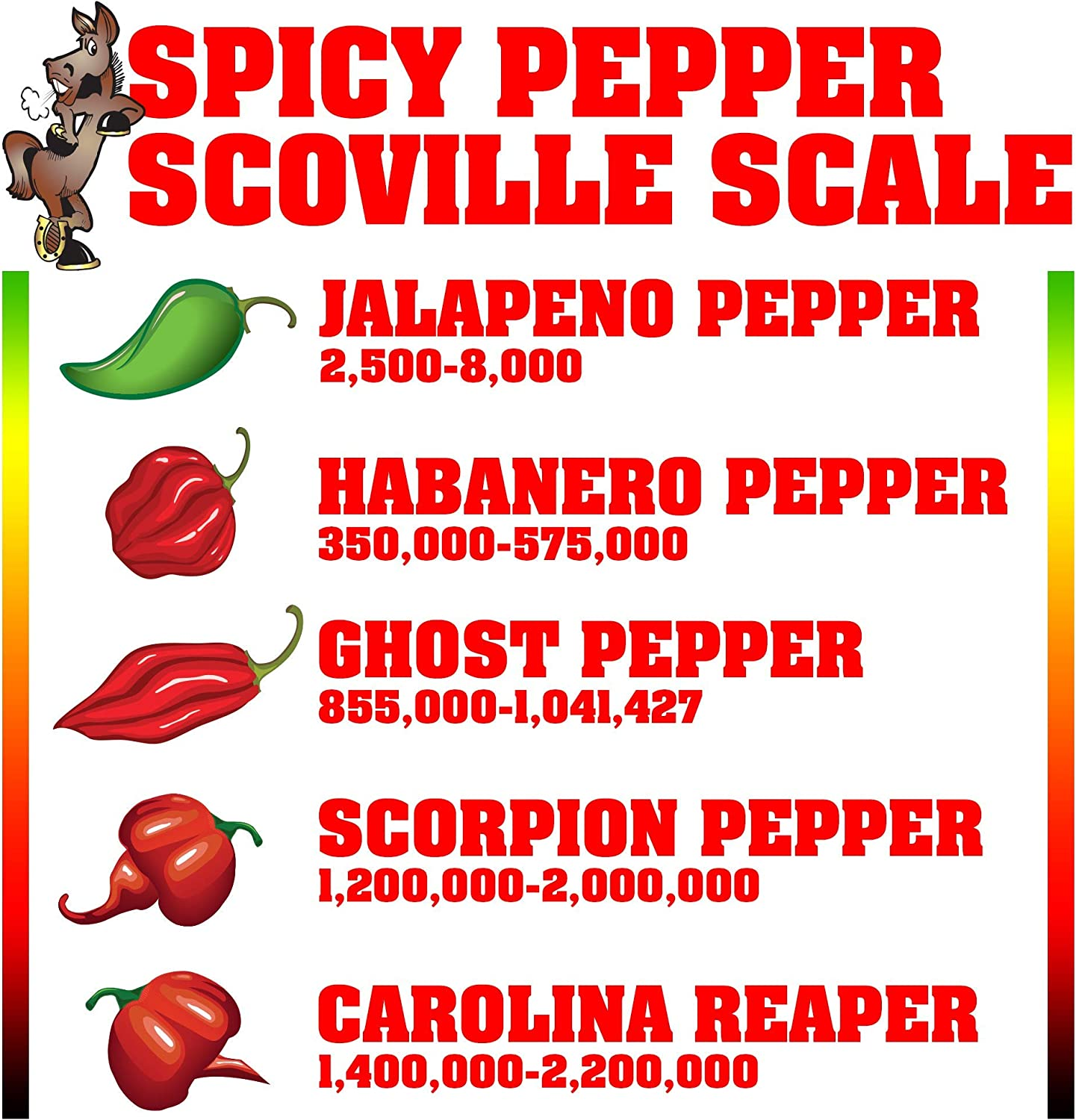 Kickin' Premium Gourmet Hot Spicy Jellybeans with Habanero - Great for Easter Candy, Stockings, and Gifts or Treats (255 G (Pack of 1), Multicolor) image number 3