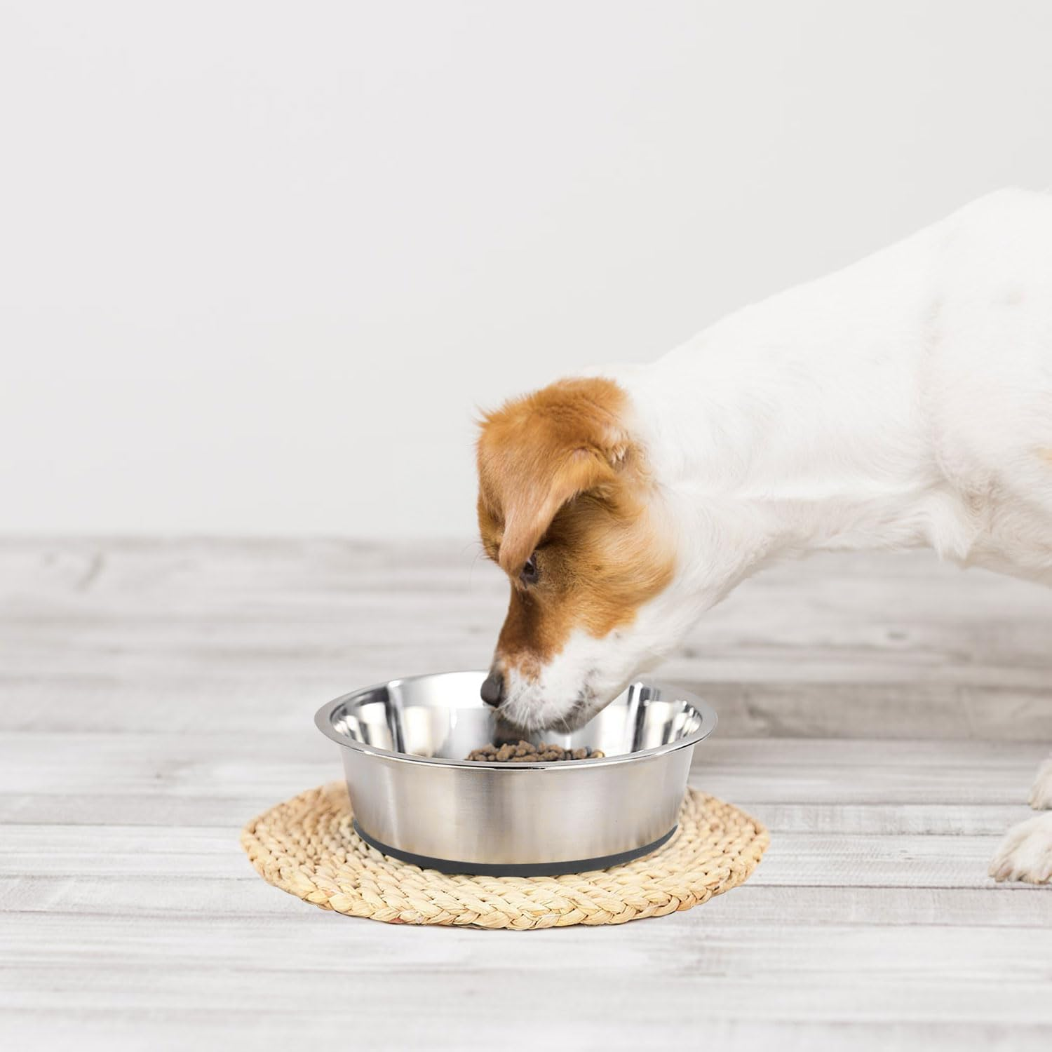 Stainless Steel Dog Bowl Set Metal Dog Bowls - Heavy-Duty with Non-Slip Rubber Base, Food Grade, Rust Resistant for Small to Medium Dogs, Easy to Clean and Dishwasher Safe (0.9 Litre Each, Set of 2) image number 4