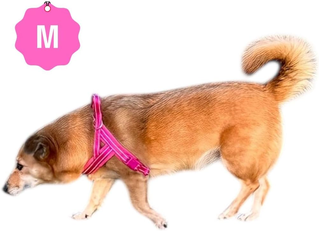My Corgi Living Dog Harness, No Pull Design, Suitable for Small, Medium, and Large Dogs, Pink and Blue, Adjustable and Comfortable Fit, Ideal for Walking and Training (Pink, Small)