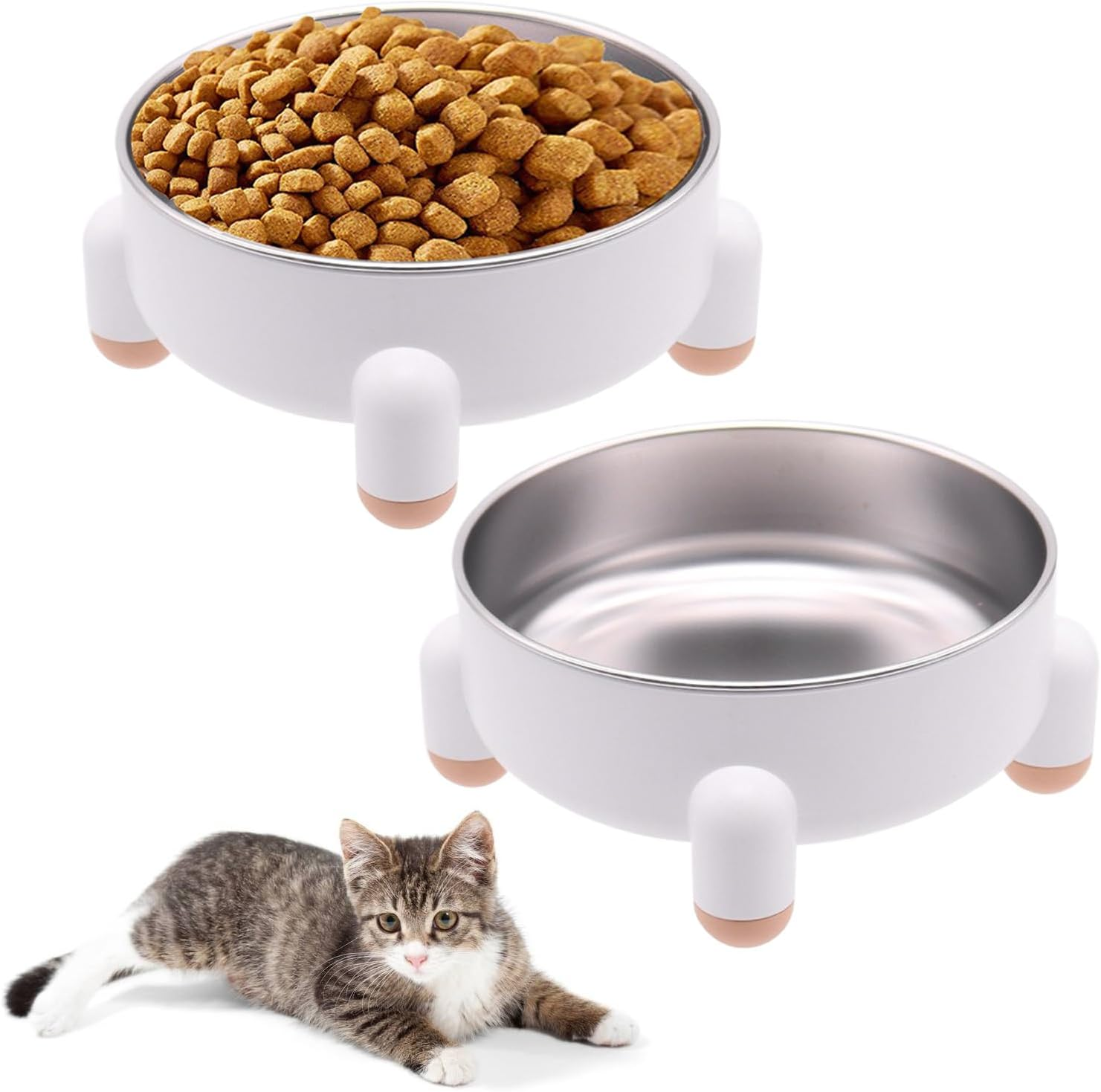 2-Pack Stainless Steel Cat Bowls - Non-Slip Tilted Metal Pet Food Bowls for Cats & Small Dogs, Prevents Feline Acne, Dishwasher Safe, Nordic Design, 3 Cups (24 Oz Each), Green