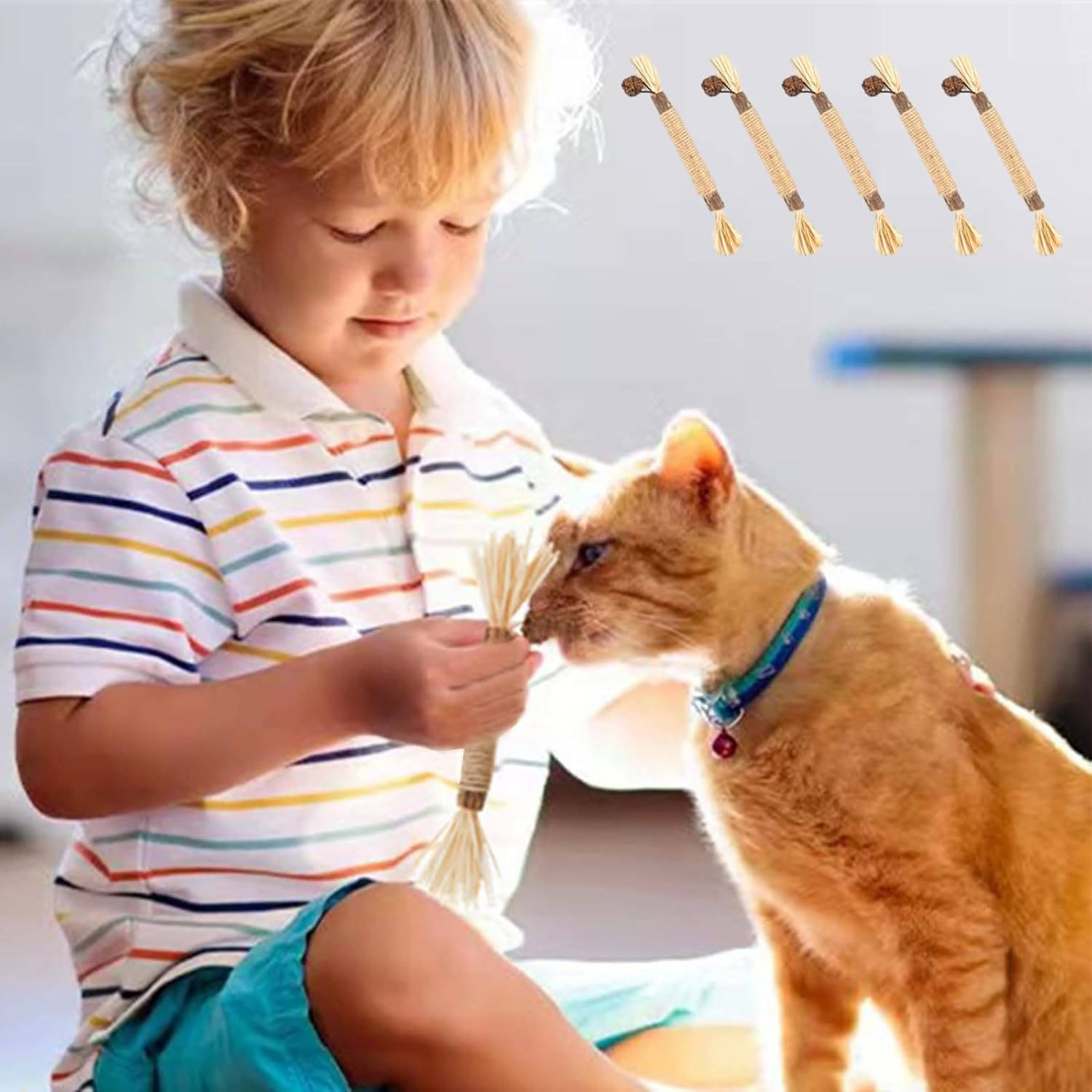 6 Pack Silvervine Cat Chew Toys, Natural Dental Sticks for Indoor Cats, Kittens Teeth Cleaning, Catnip Alternative, Interactive Play, Yellow image number 2