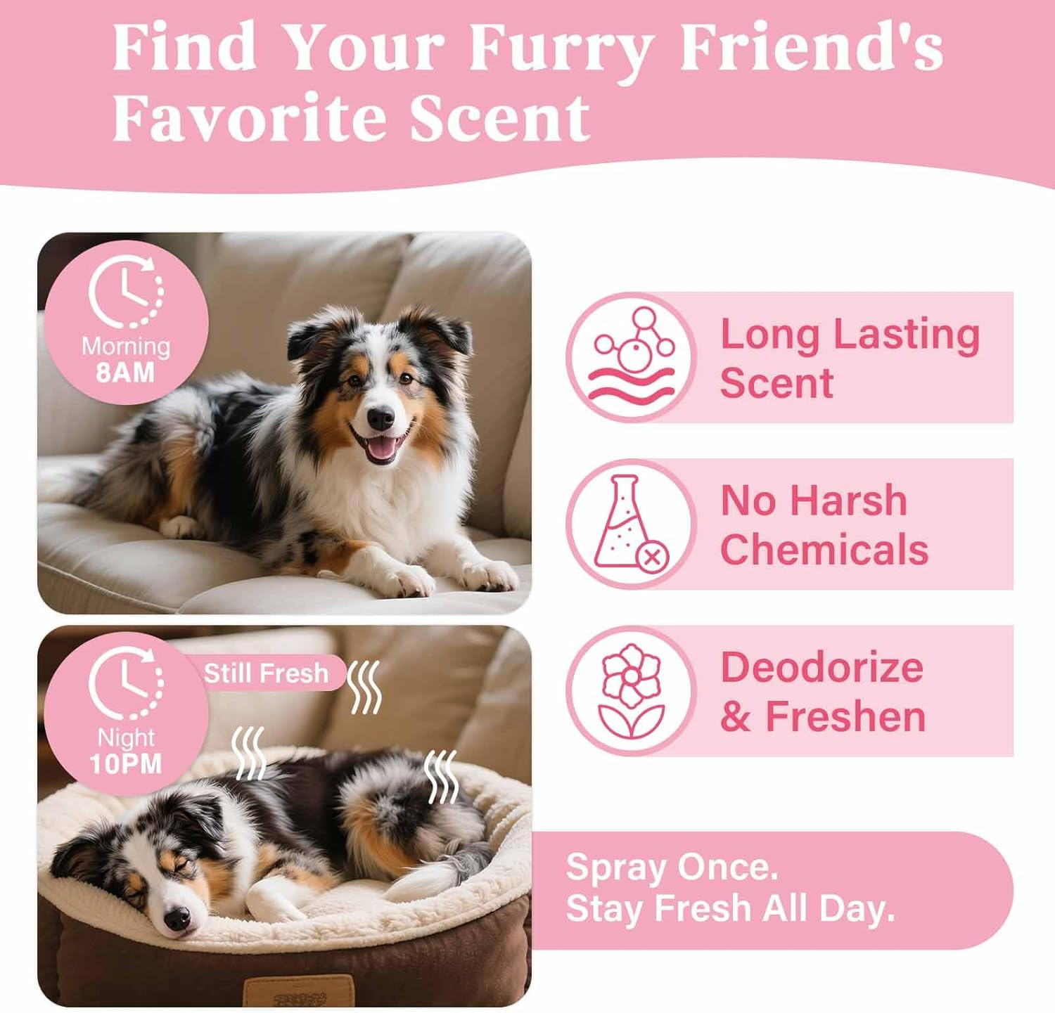 Natural Pet Cologne | Perfume for Dogs & Cats Premium Grooming Spray Long-Lasting Rose Scent Deodorizing Conditioning & Odor-Eliminating for All Coat Types image number 3