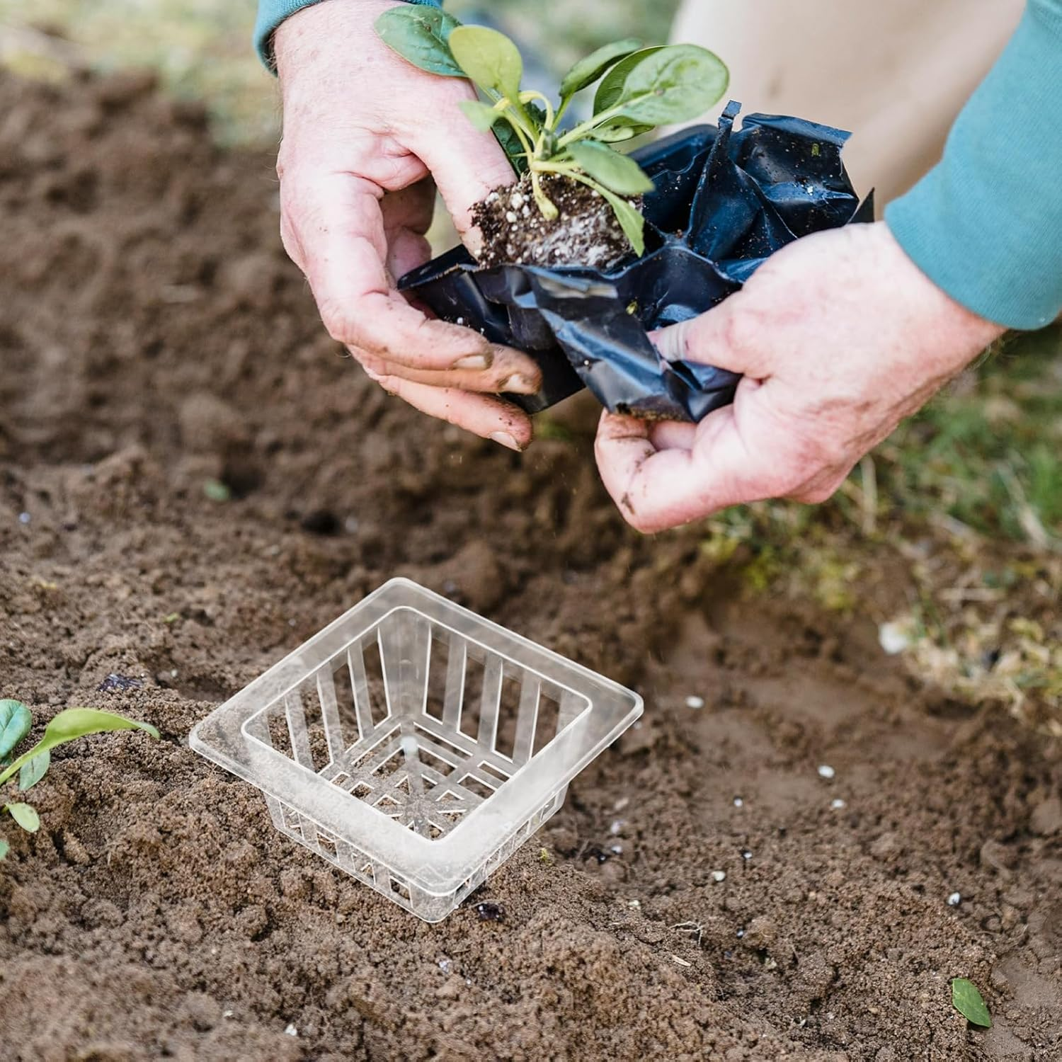 Levemolo 20Pcs Hydroponic Cups for Plants Root-Fixed Flower Pot in Mesh Baskets for Vegetable Flower Gardening image number 5