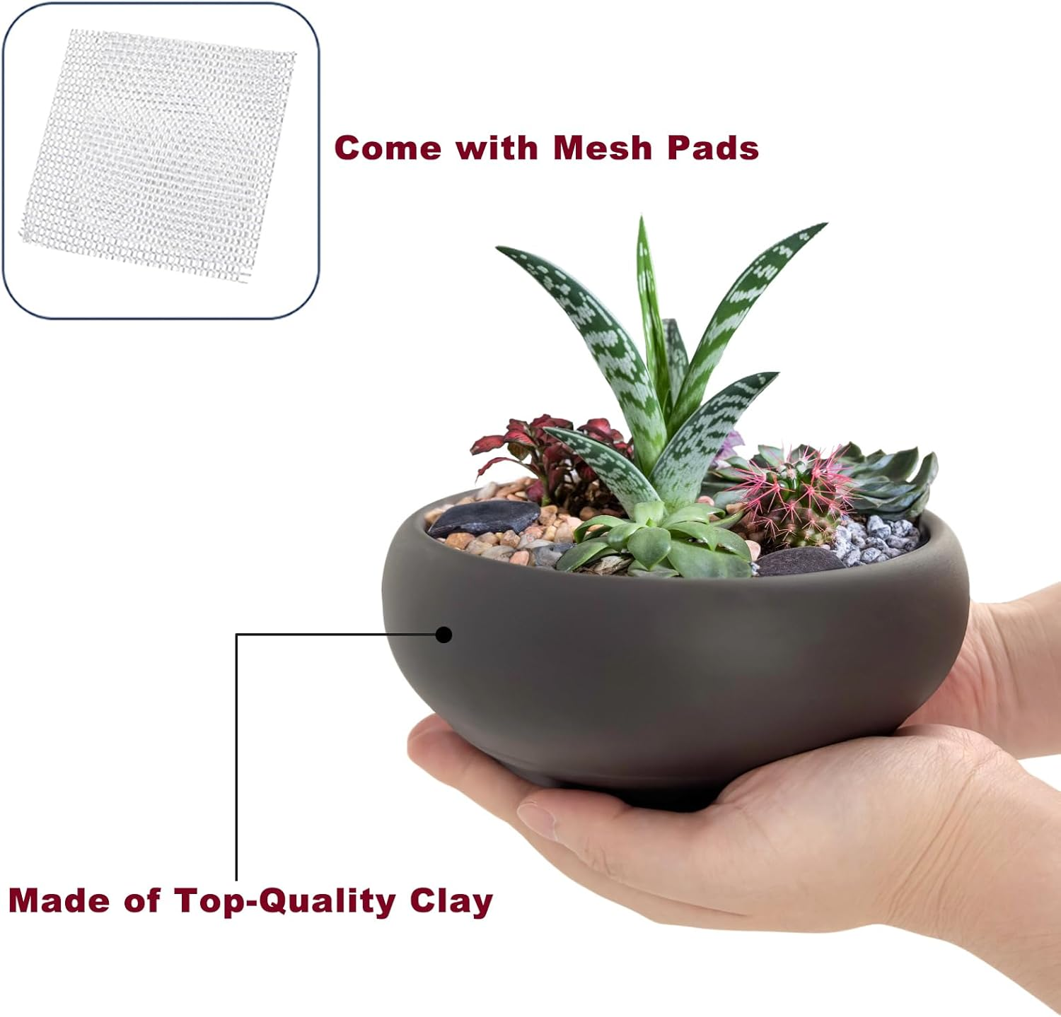 Happy Bonsai Pot 6" Unglazed round Ceramic Succulent Planter + Drainage Screen image number 1