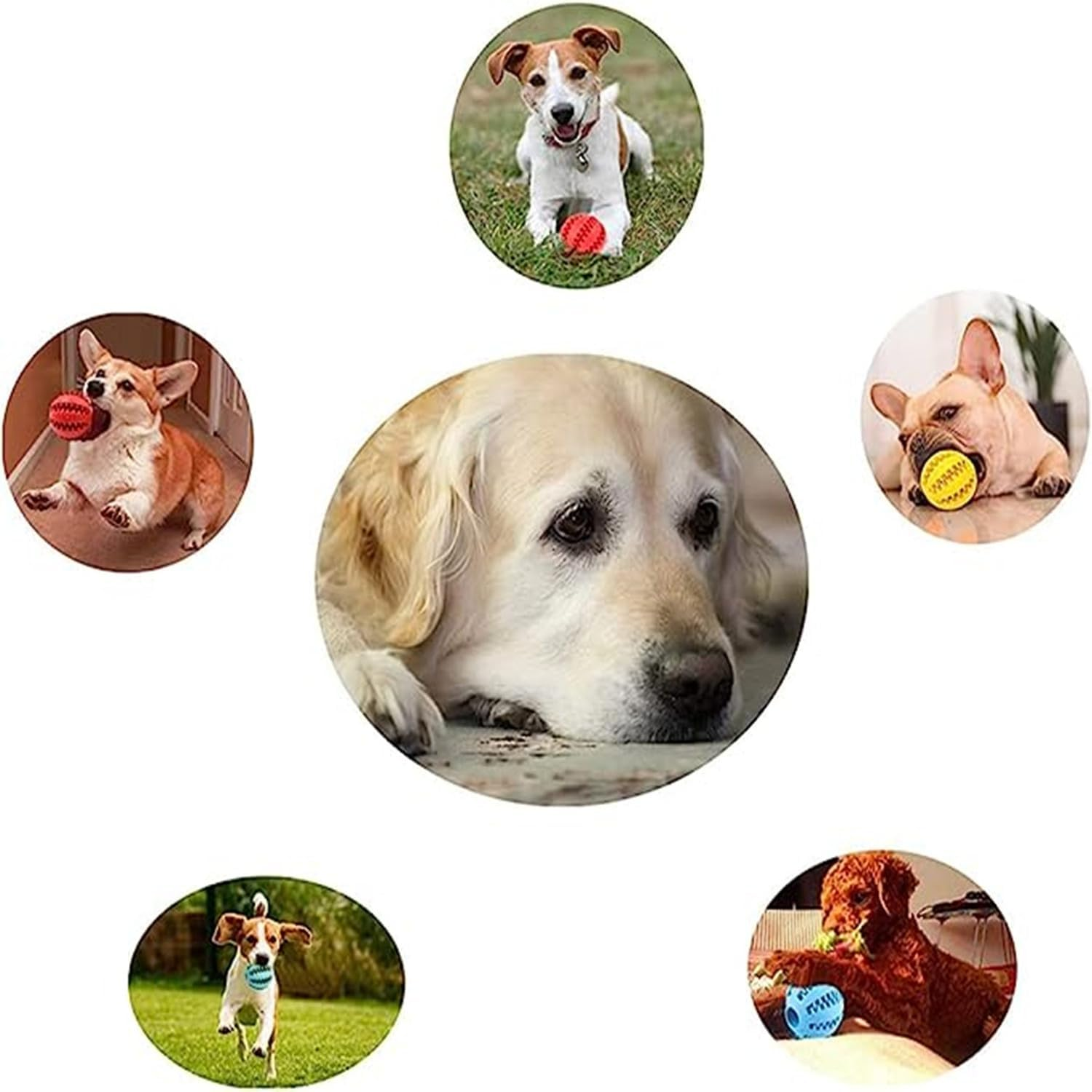 3 Pieces Dog Toys for Boredom Interactive 5Cm Treat Dispenser,Teeth Cleaning Chew Toy Exercise Game IQ Training Ball, Nontoxic and Durable Dog Products for Indoor Puppy Cat (Red, Blue, Green) image number 6