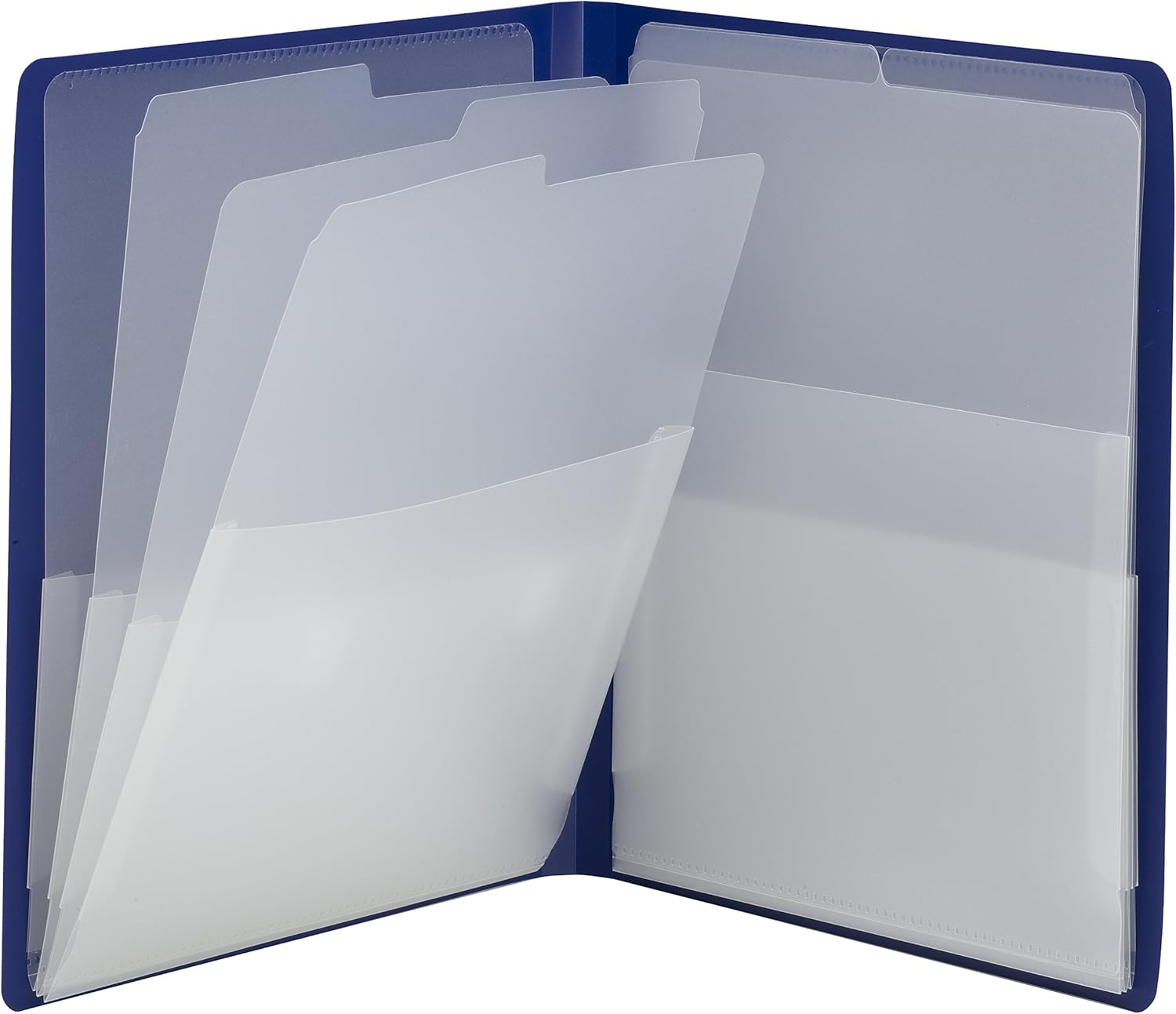 Smead Organized up Multi Pocket Organizer, Eight Pockets, Letter Size, Black (87722)