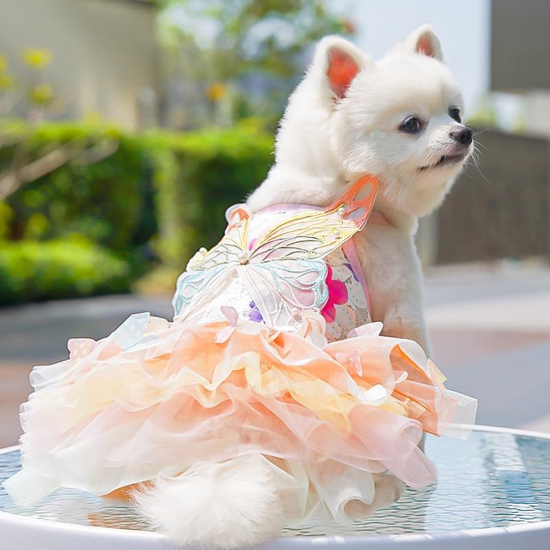 Dress for Cats, Dog Gradient Mesh Dress,Rainbow Butterfly Dress for Small Dog (Colorful, L) image number 4