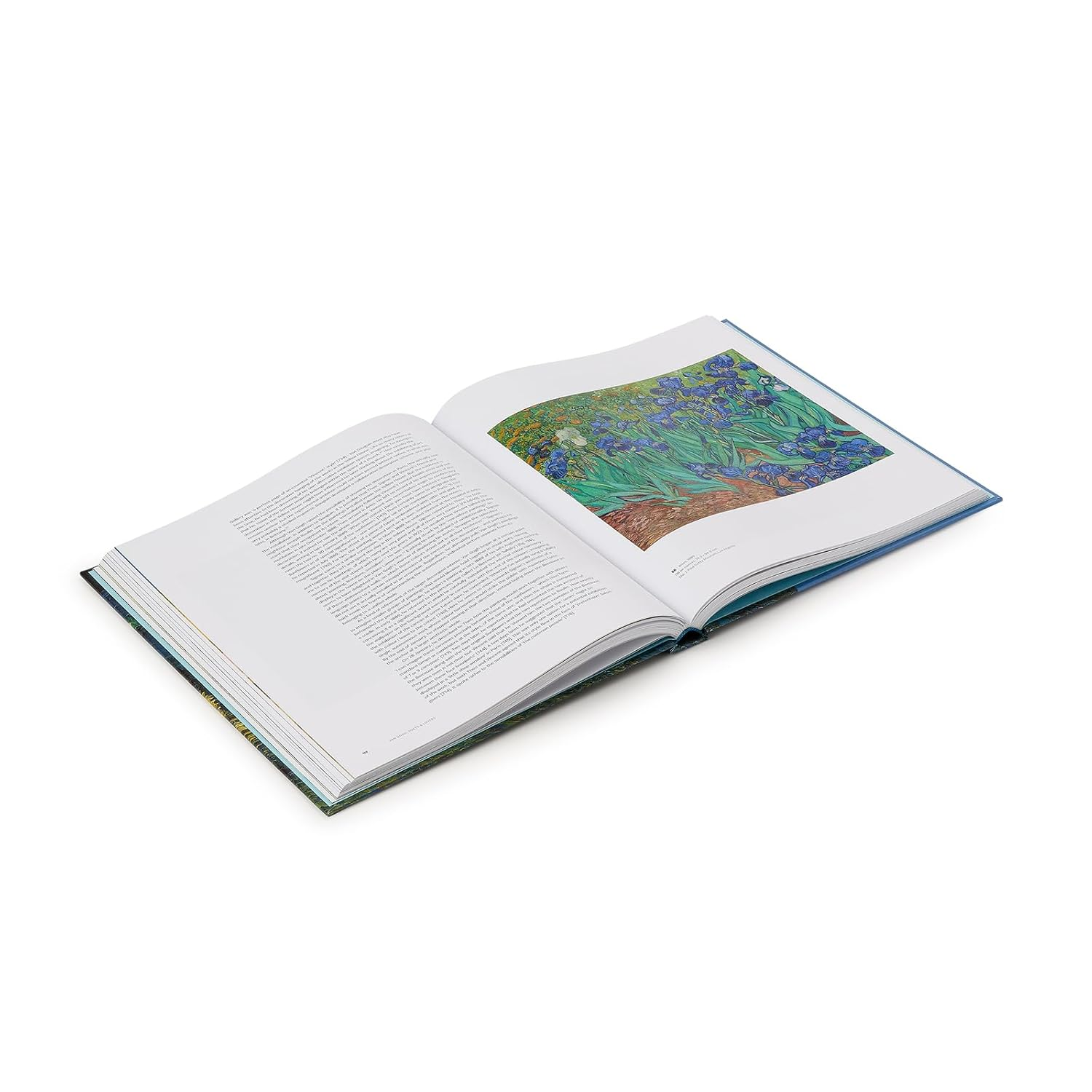 Van Gogh: Poets and Lovers image number 5