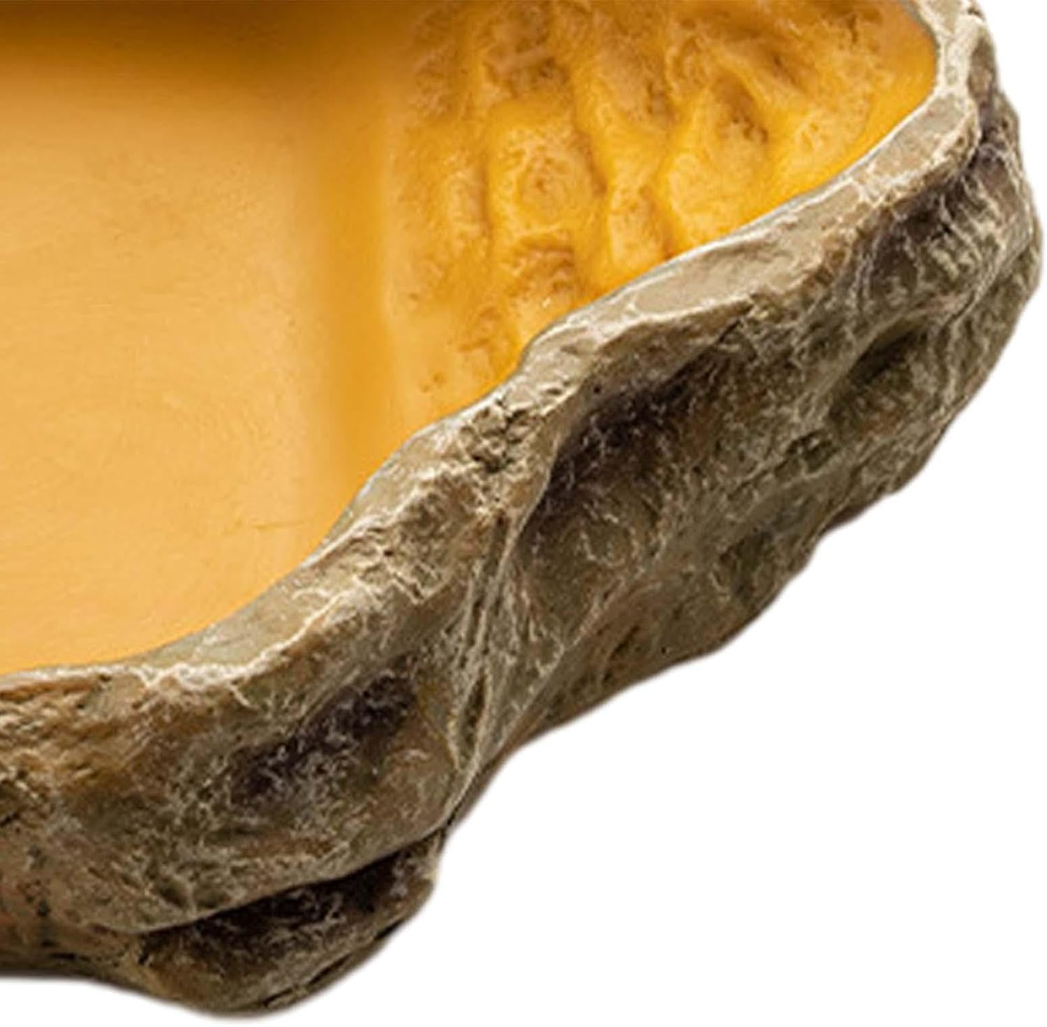 Reptile Water Bowl Large, Resin Water Dish Food Bowl for Tortoise Lizard Frog Terrapin Gecko Spider Scorpion Reptile Drinking Bowl Water Tray 26X20Cm