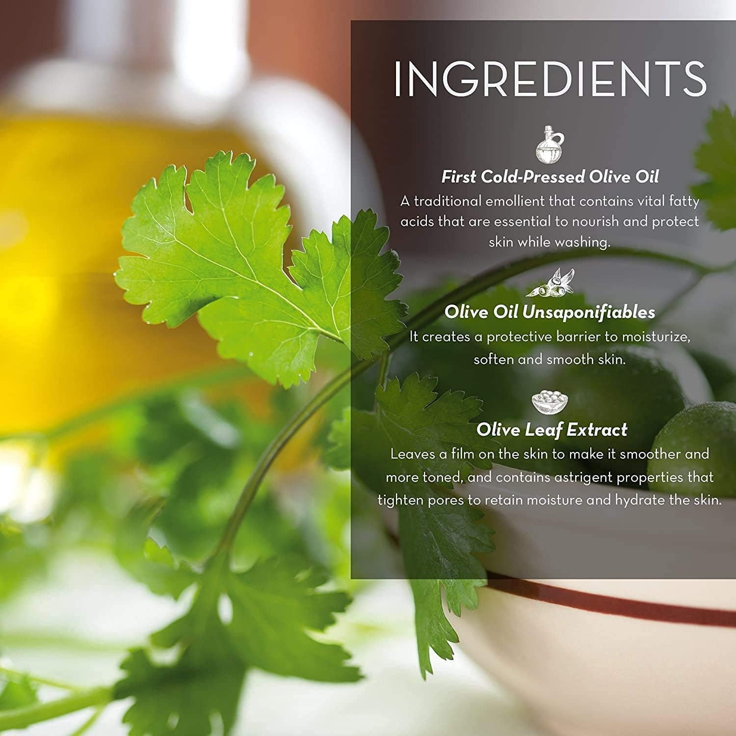 Fruits & Passion Hand Wash Hand Cream Duo Coriander & Olive Tree image number 2