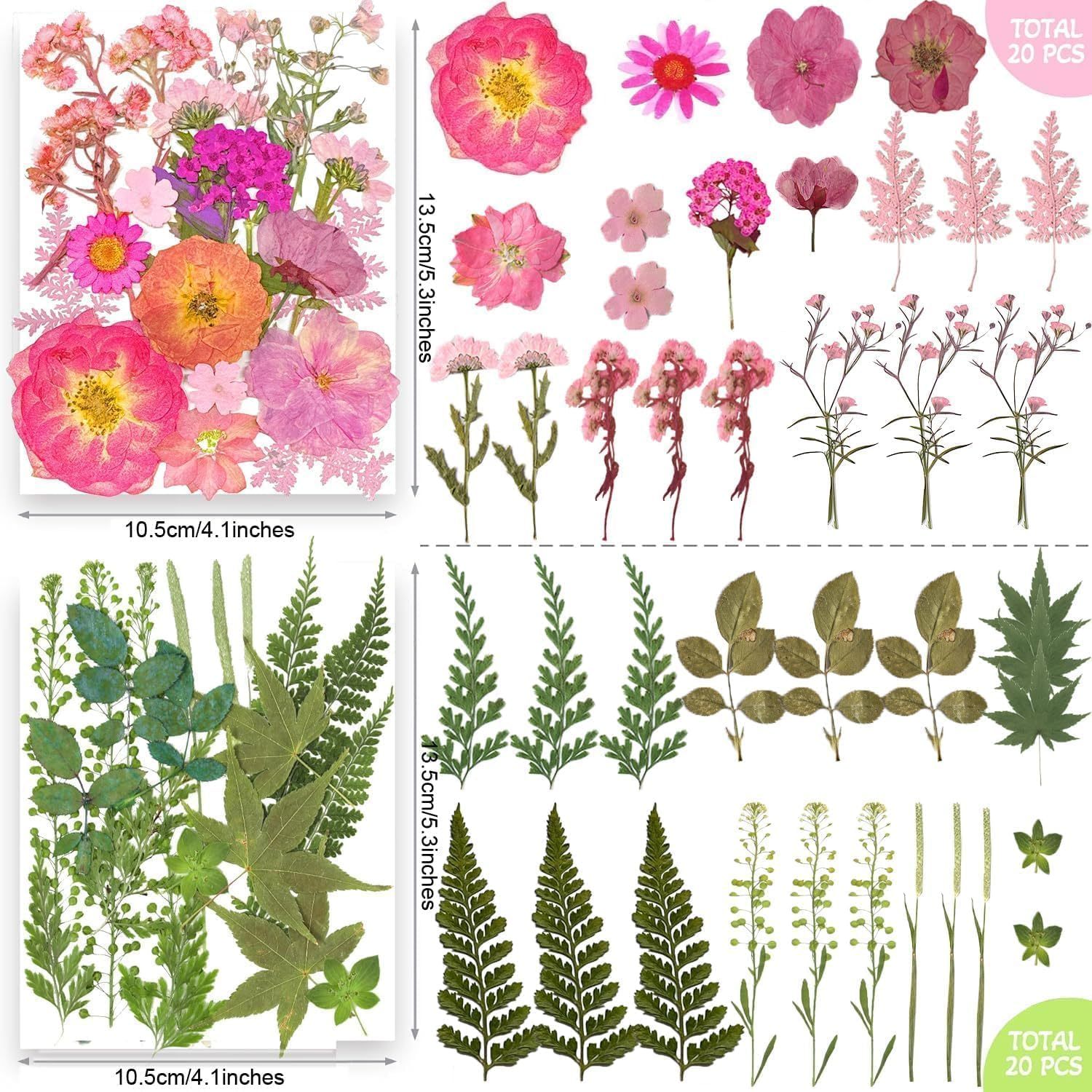 200Pcs Dried Pressed Flowers Leaves for Crafts, Real Natural Dry Pressed Flowers for Resin Molds Nails Art Candle Making Phone Cases DIY Art Crafts image number 3