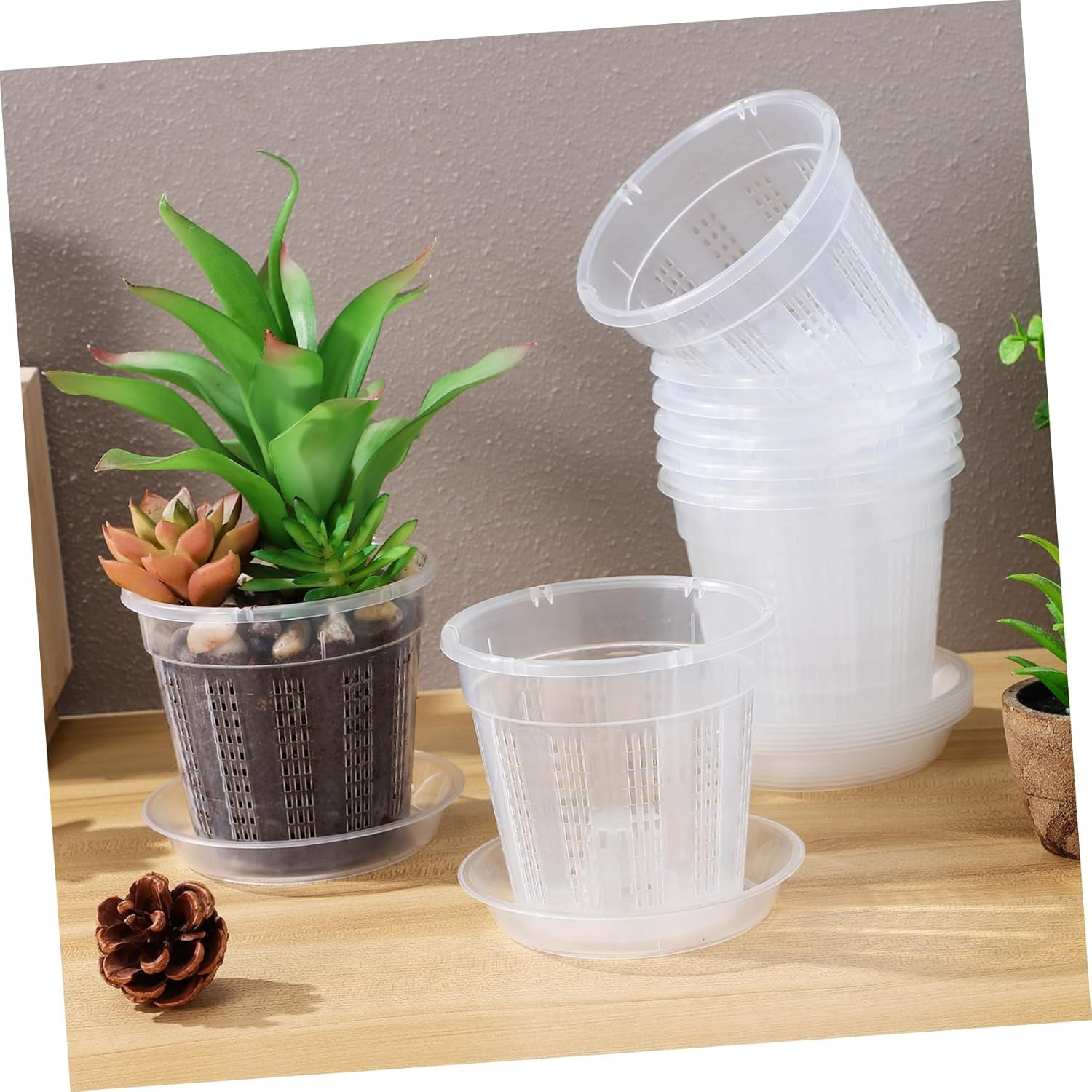 HYTROVE 8Pcs Clear Orchid Pots with Drainage Holes of Slotted Transparent Flower with Saucer for Indoor and Outdoor Gardening image number 4