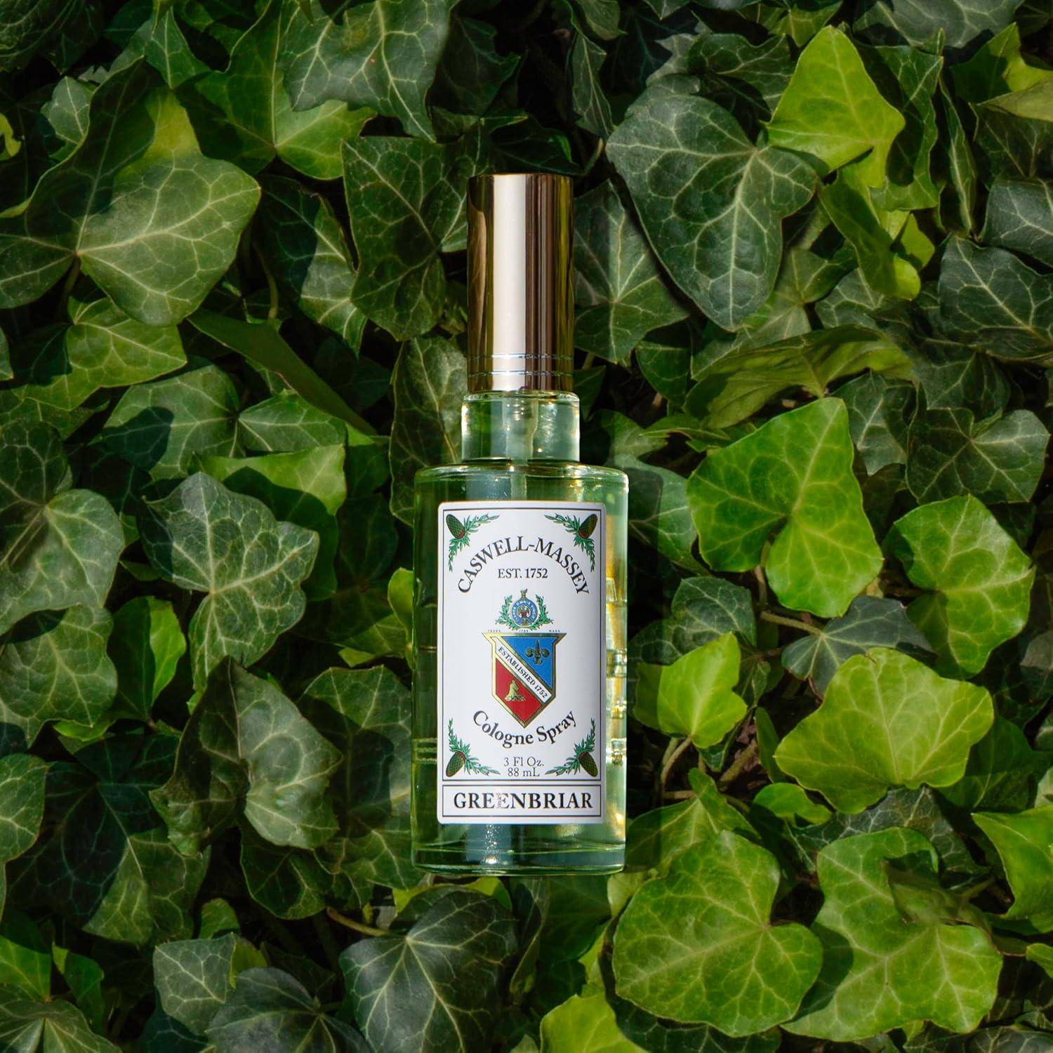 Caswell-Massey Greenbriar Gold Cap Cologne, Men&rsquo;S Cologne with Classic and Zesty Scent with Citrus, Sage & Rugged Velvety Notes, 3 Fl Oz